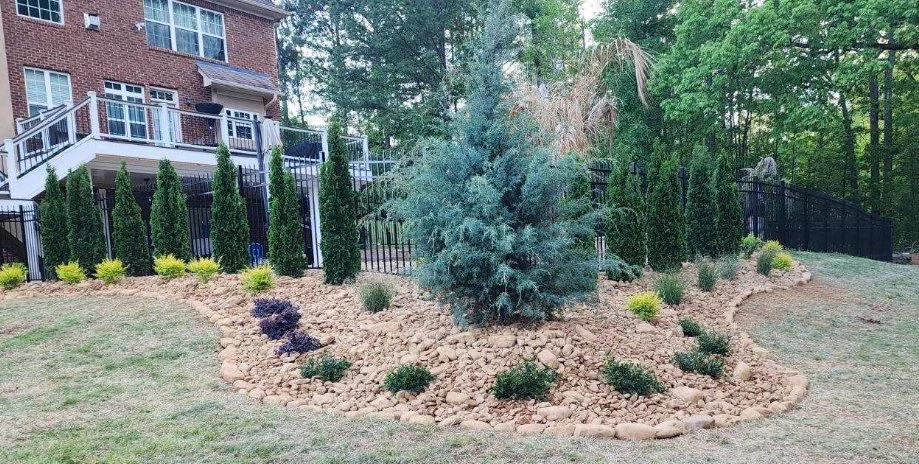A landscaped yard with a central large evergreen tree, surrounded by small bushes, rocks, and a sloped grassy lawn, enclosed by a black metal fence with a brick house in the background.