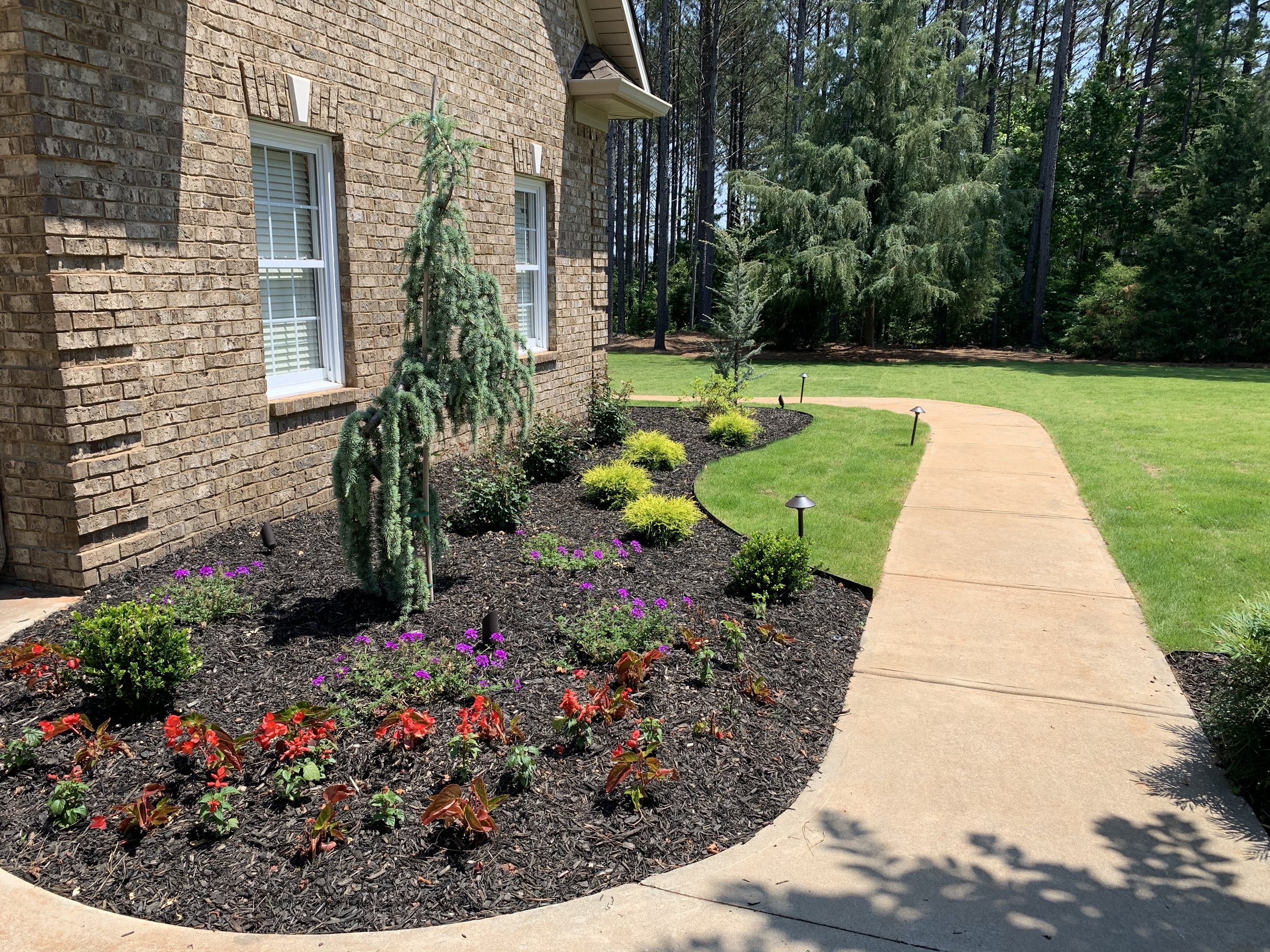 A curved sidewalk runs through a well-maintained lawn next to a brick house with two windows. There are various small bushes and flowering plants along the edge of the house, with outdoor landscape lighting.
