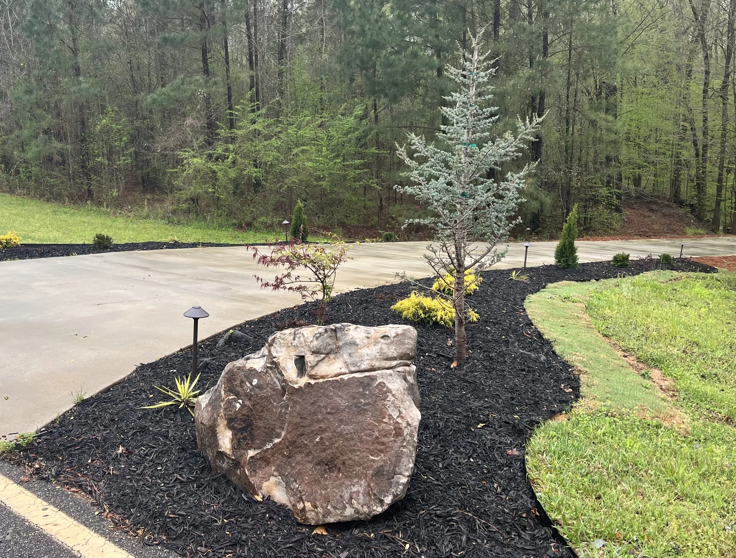 Photo Apr 06 2022, 9 26 47 AM.jpg