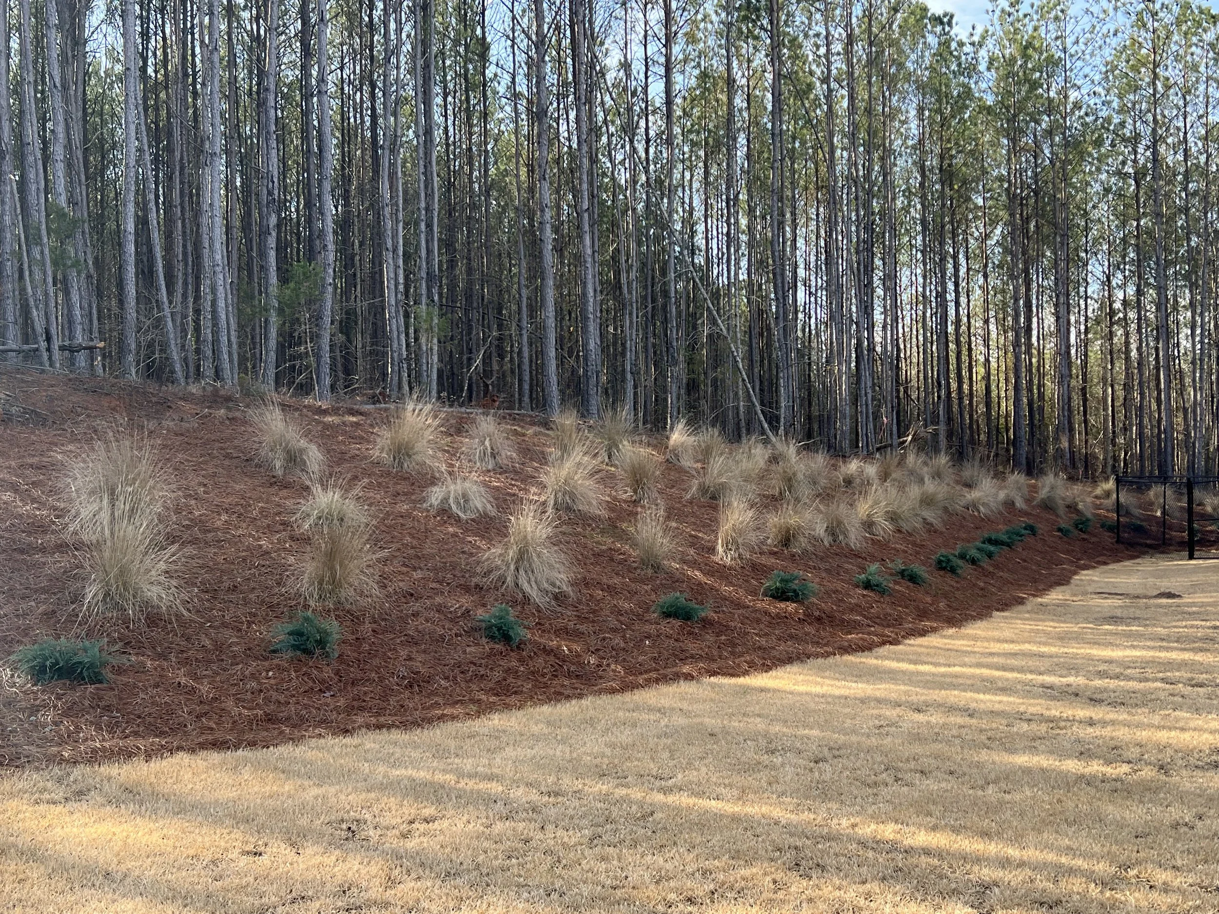 Photo Jan 11 2023, 10 54 33 AM.jpg