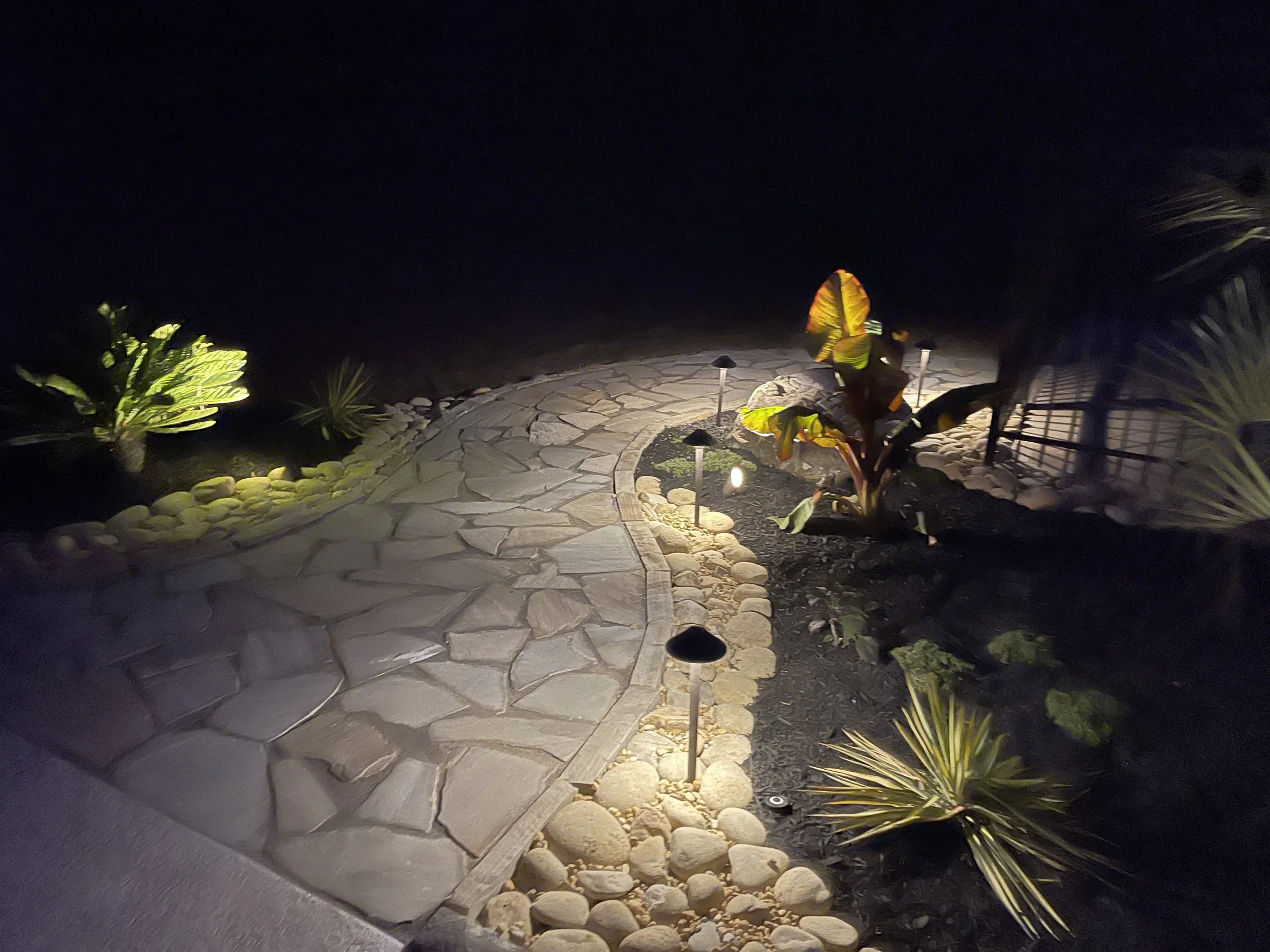 A stone pathway lit by small landscape lights, with plants and bushes on either side, at night.