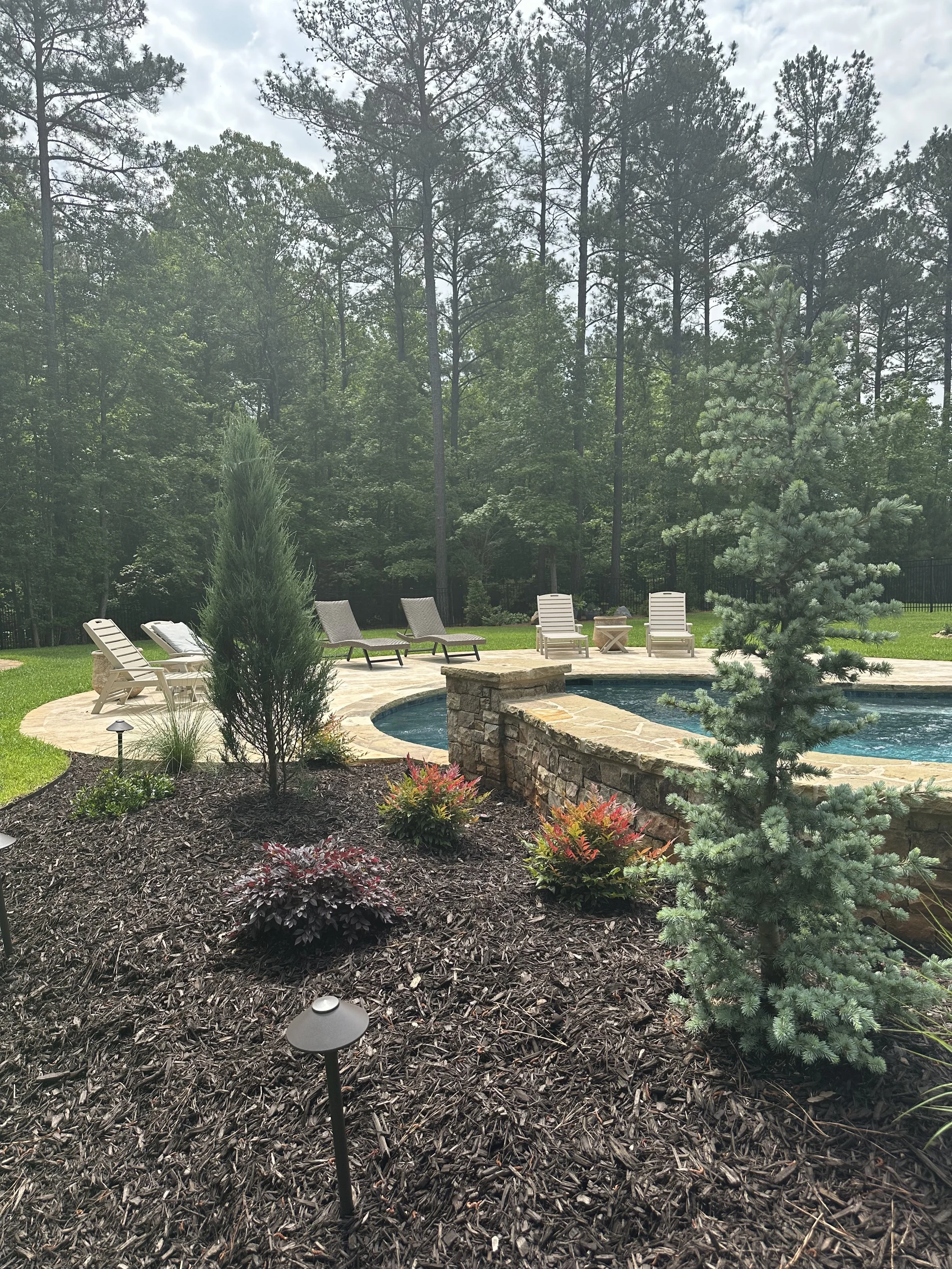 Photo May 03 2024, 12 10 33 PM.jpg