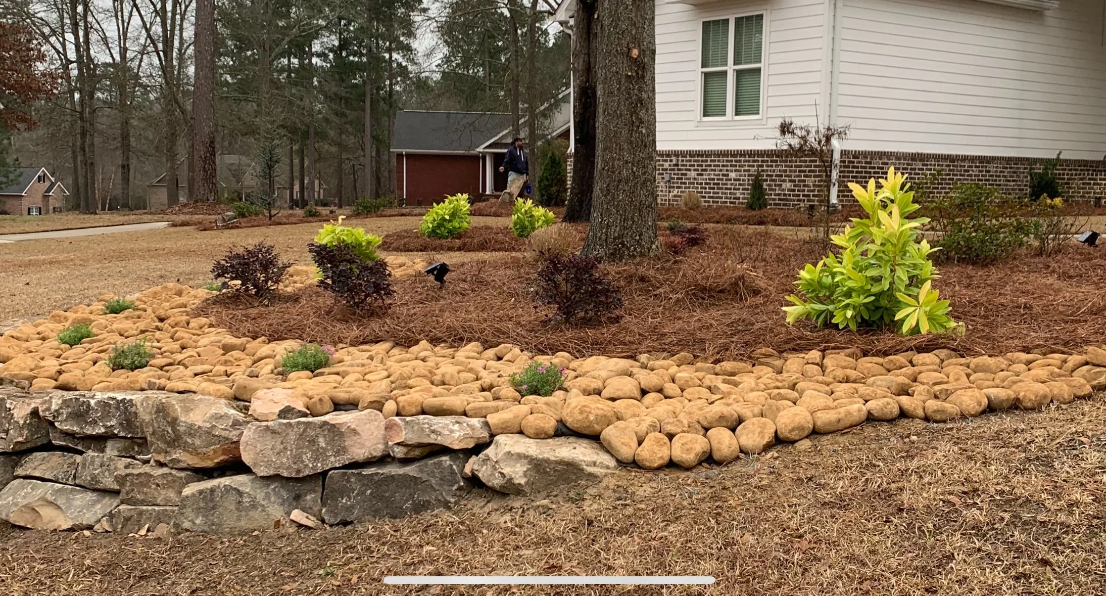 Photo Feb 11 2025, 12 30 20 PM.jpg