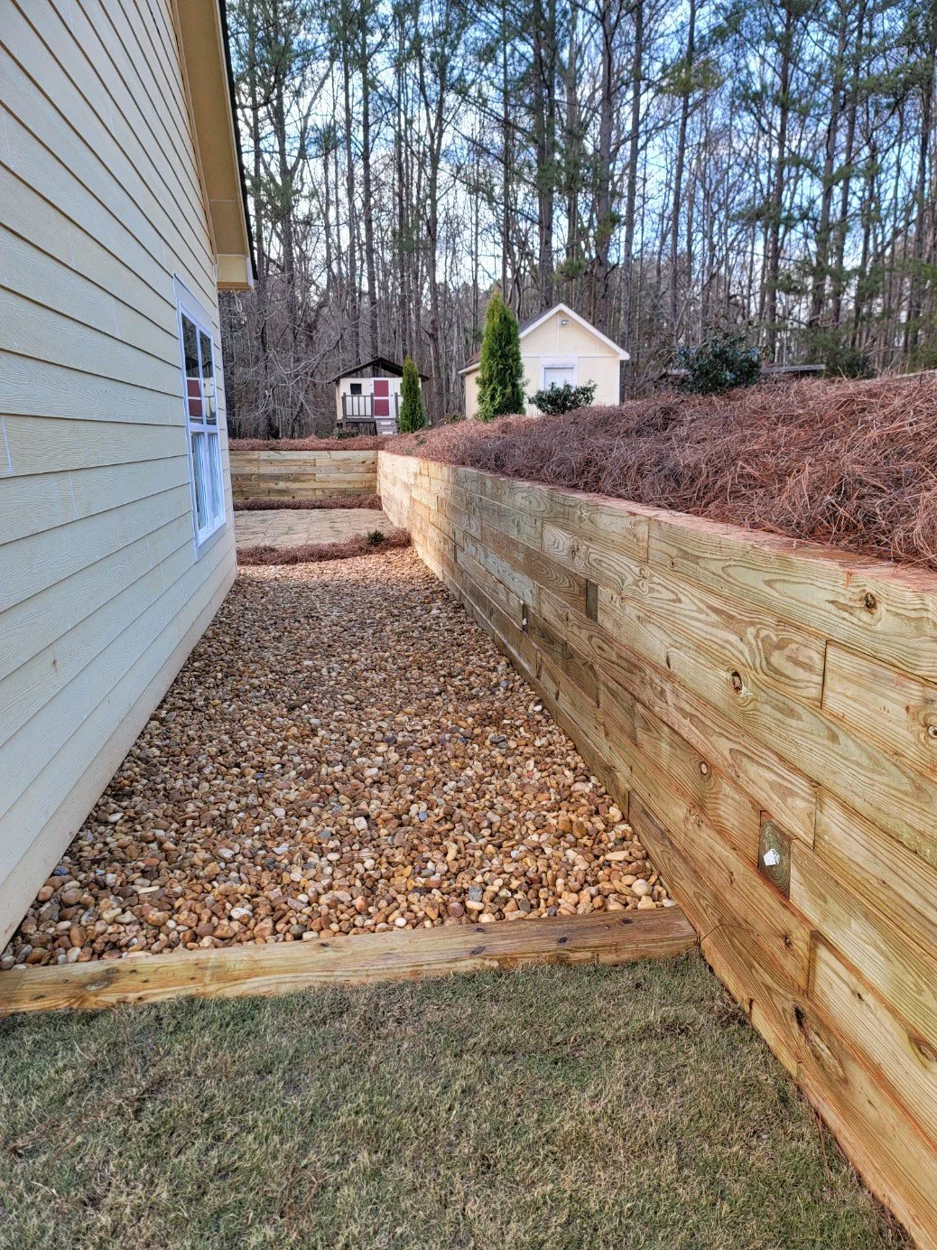 Photo Feb 12 2025, 11 13 57 AM (1).jpg