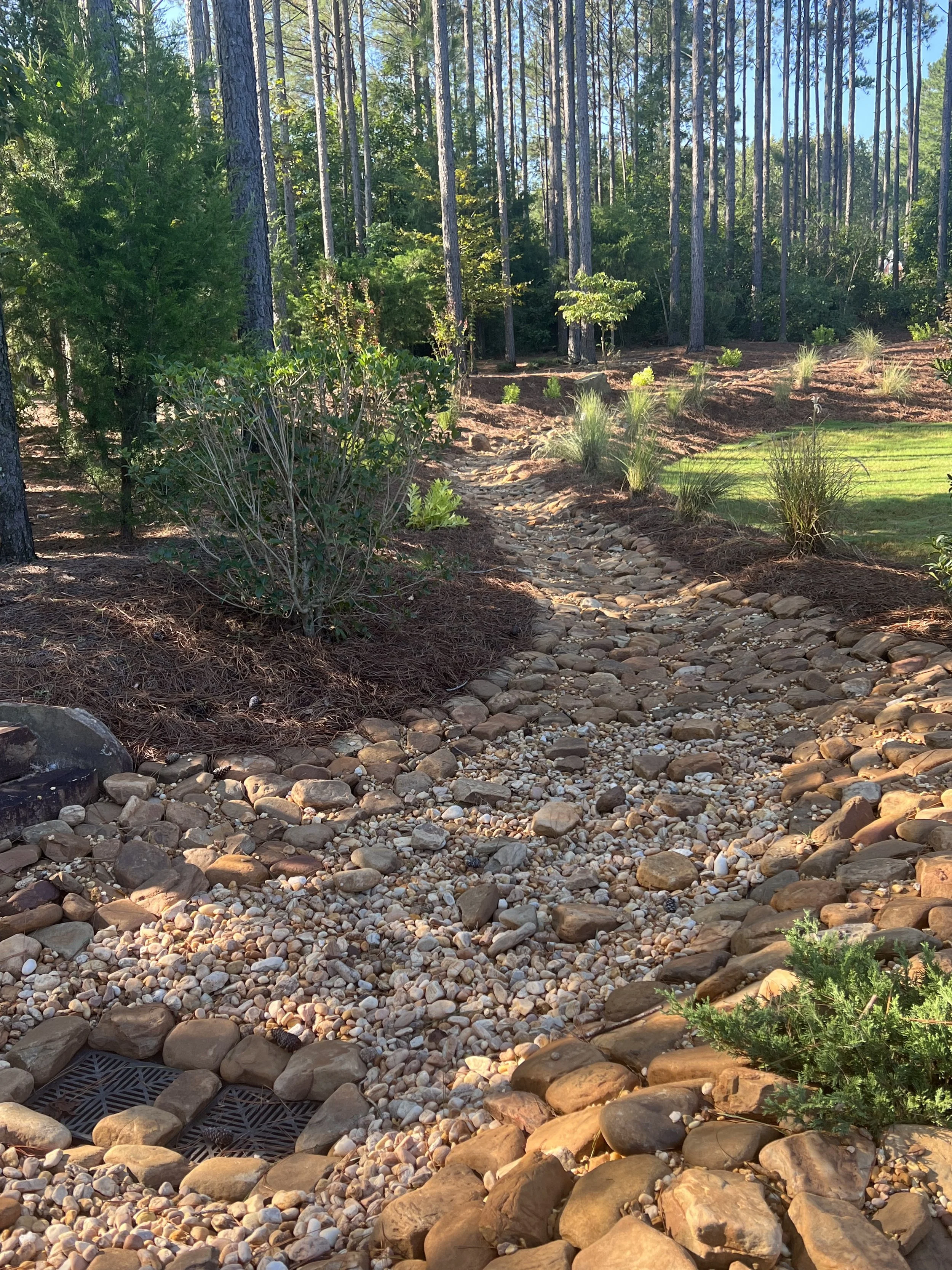 A landscaped yard with a small dry creek bed made of rocks and stones, surrounded by mulch and various plants with tall trees in the background under a blue sky.