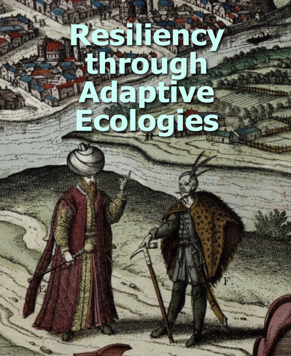 Increasing Resilience through pairing Service Design and Behavioral Insights