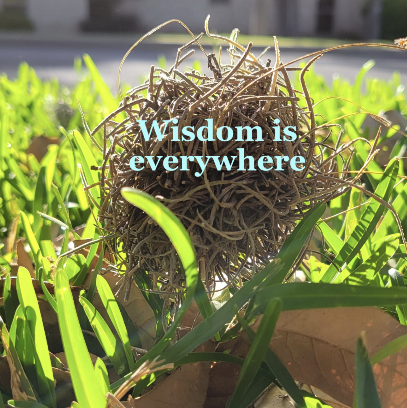 Learning from the Signals around you