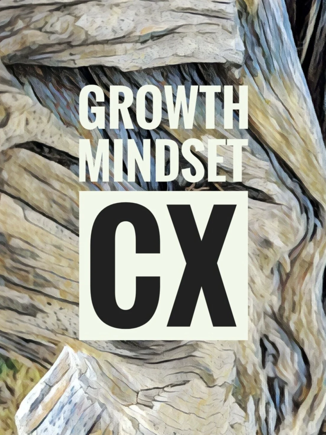 CX &amp; UX – adaptive and customer obsessed&nbsp;– fueling digital transformation