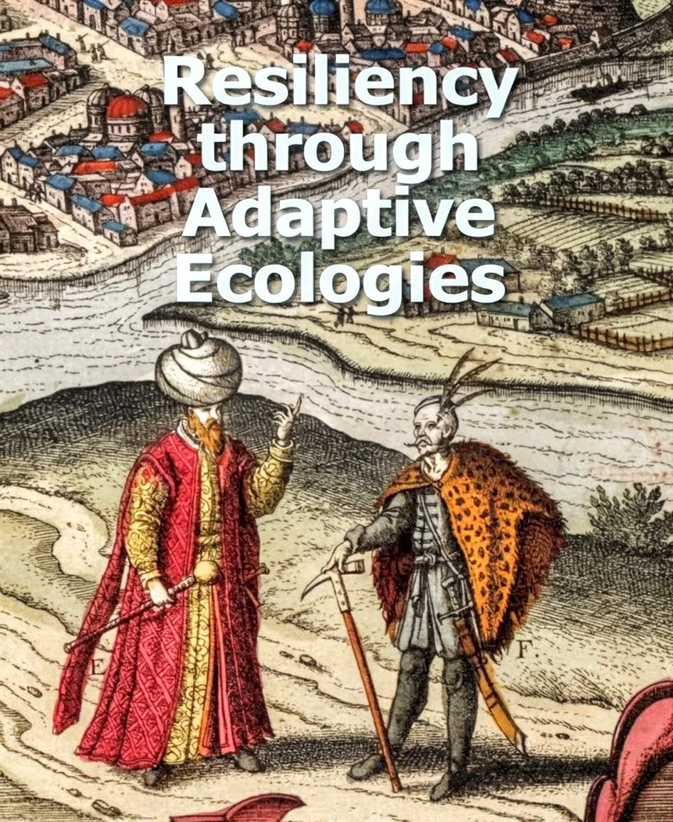 Increasing Resilience through pairing Service Design and Behavioral Insights