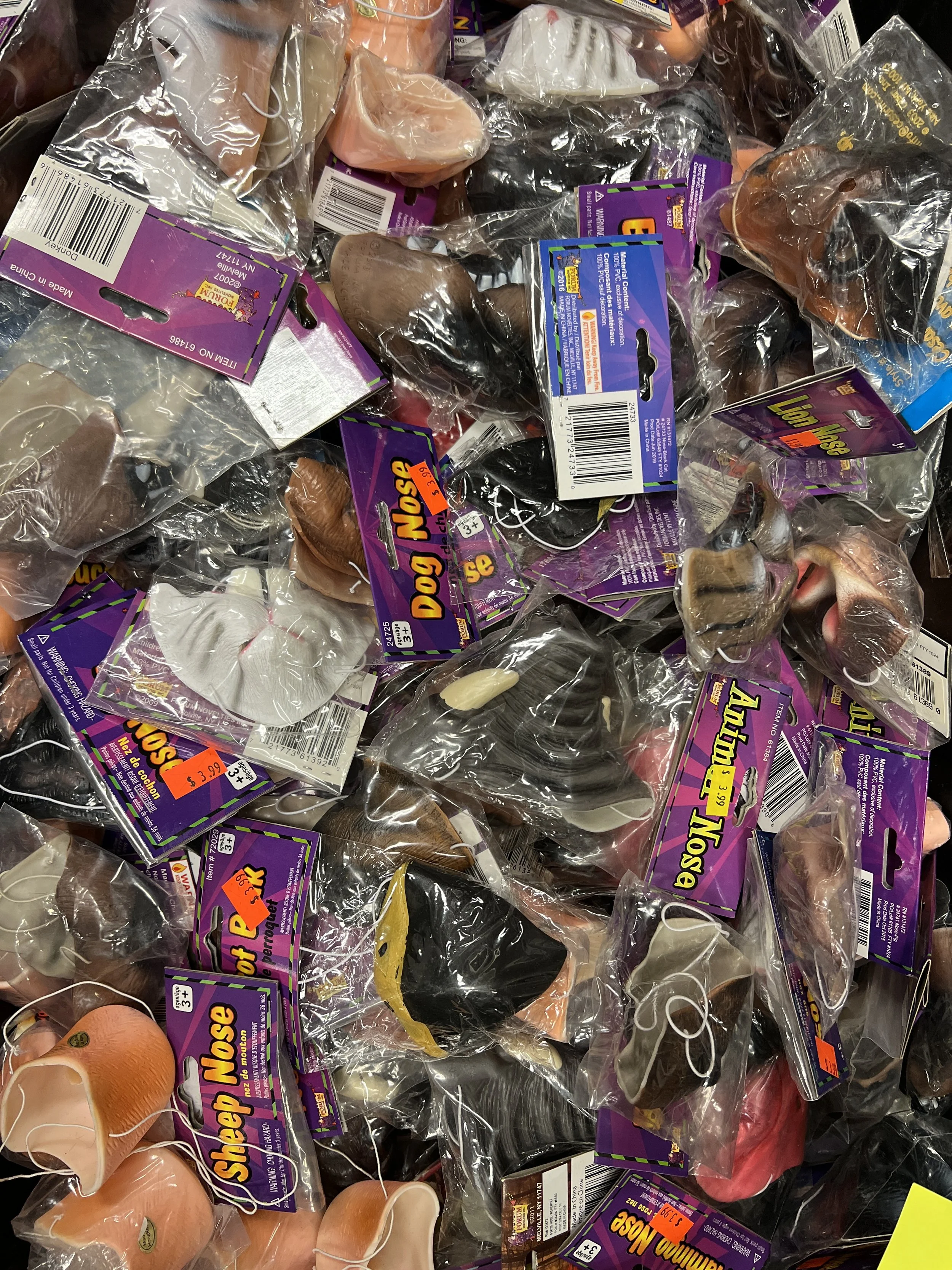 Assorted Animal Noses