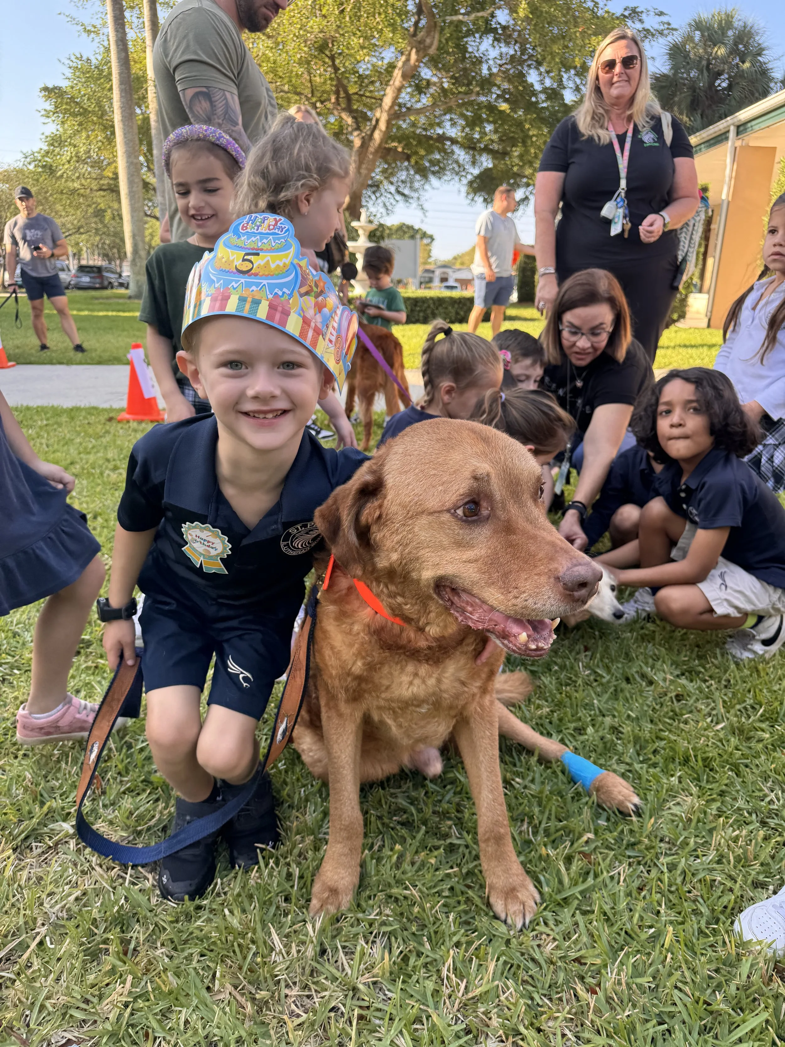 A dog playing sitting with a young boy