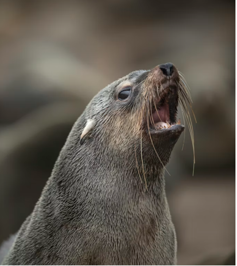 Thoughts on being competitive