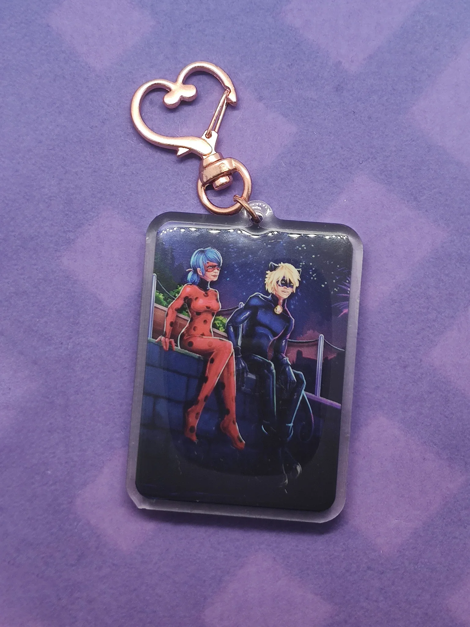 Ladybug and Cat Noir Charm