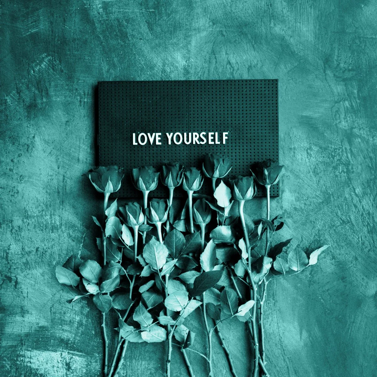 Roses beneath a sign reading 'Love Yourself', symbolising self-love and healing