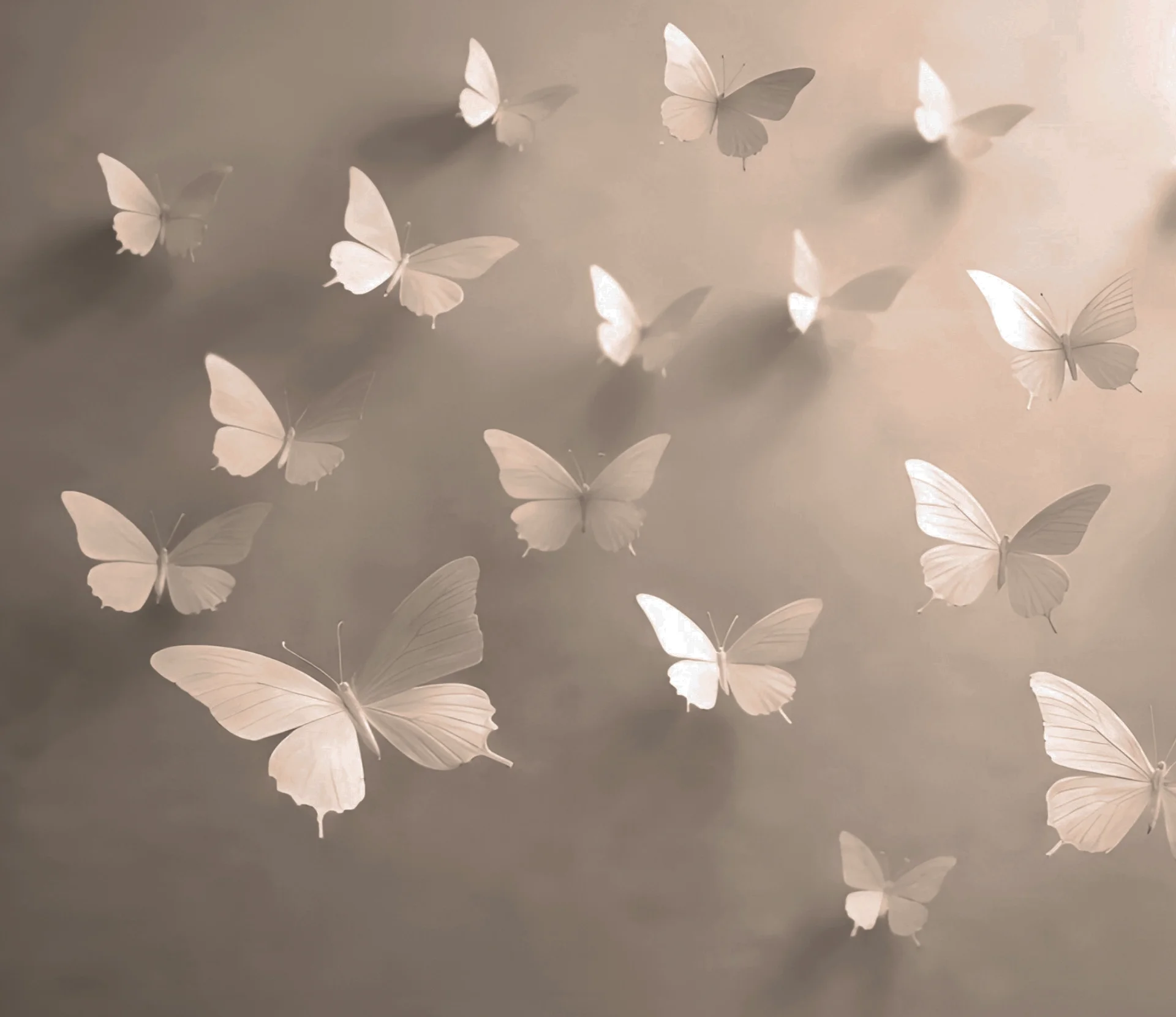 Multiple white butterflies with semi-transparent wings flying against a neutral background.