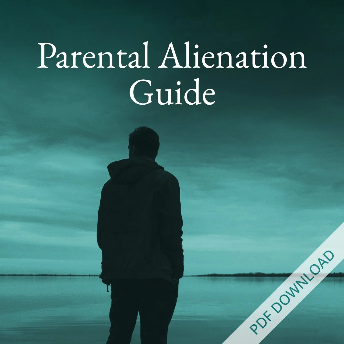 Parental Alienation Guide