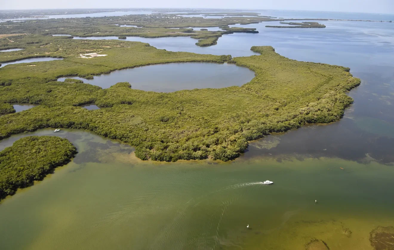 Sarasota Herald-Tribune: Tampa Bay cruise port plan for Manatee County wetlands sparks uproar