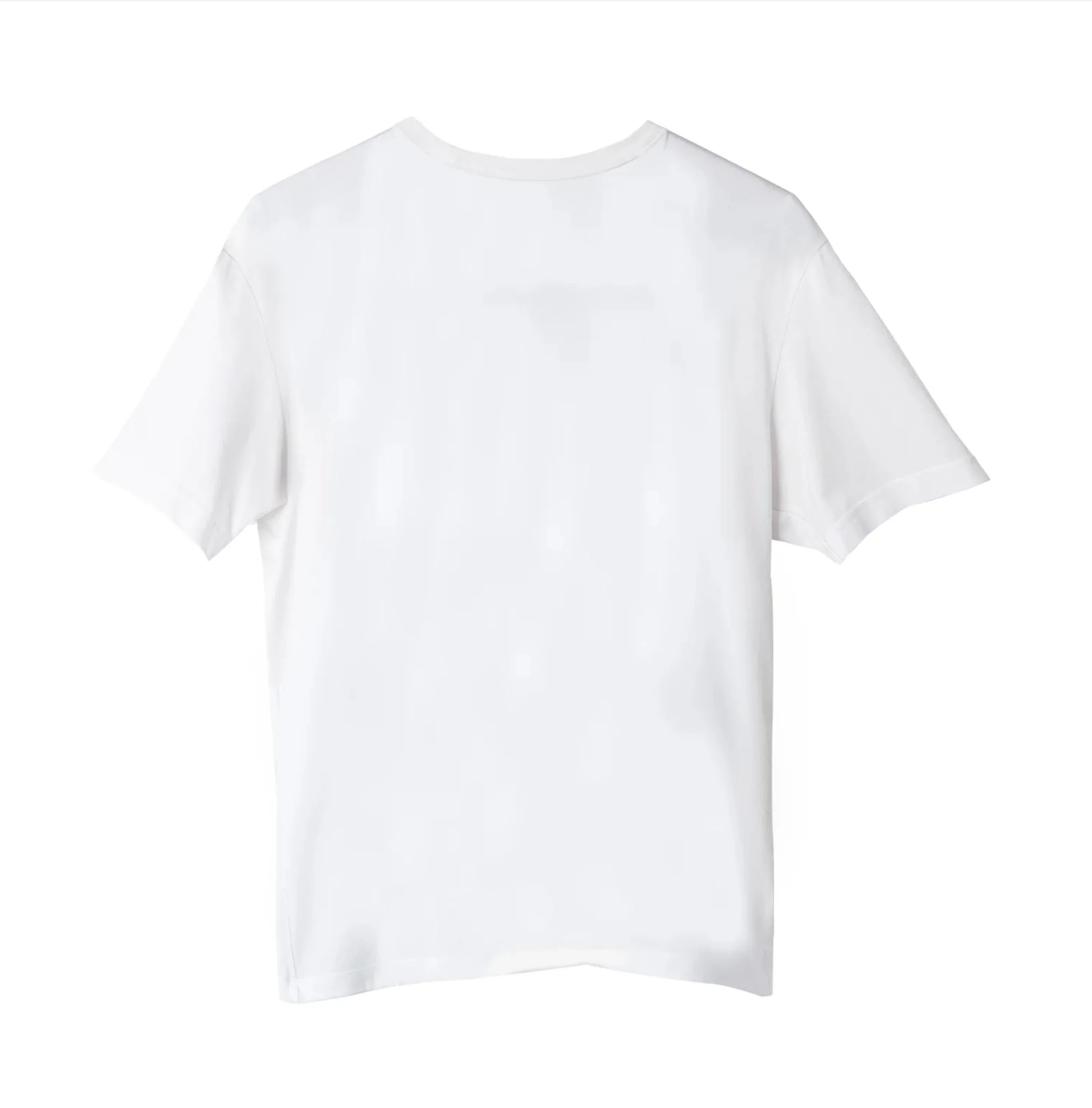 Screenshot 2026-01-31 at 8.36.44 PM.jpg