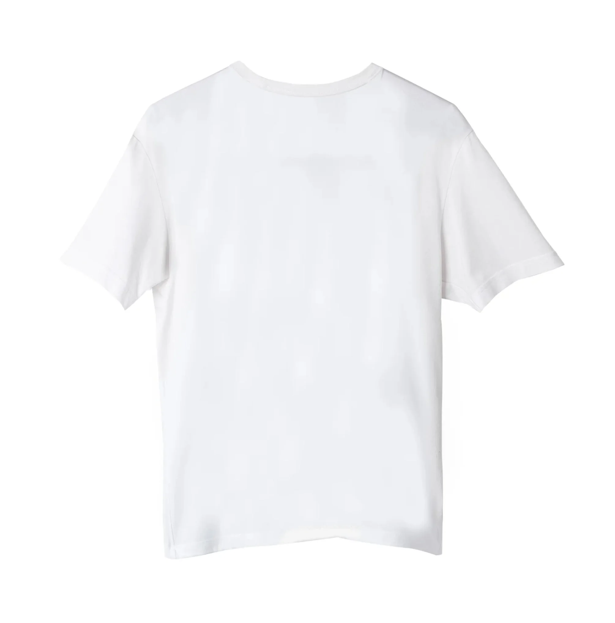 Screenshot 2026-01-24 at 11.35.08 AM.jpg