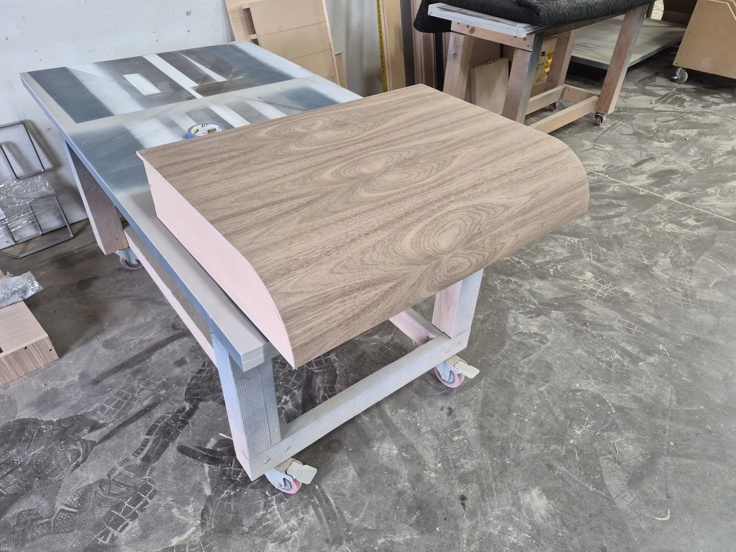 Highlands Ranch: Bespoke home theaters and functional, high-end family room built-ins.