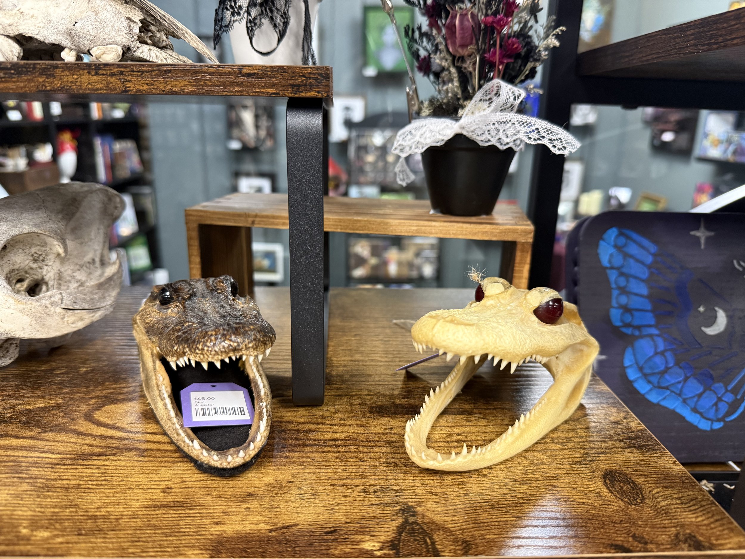 IMG_0742(2) - Copy.JPEG