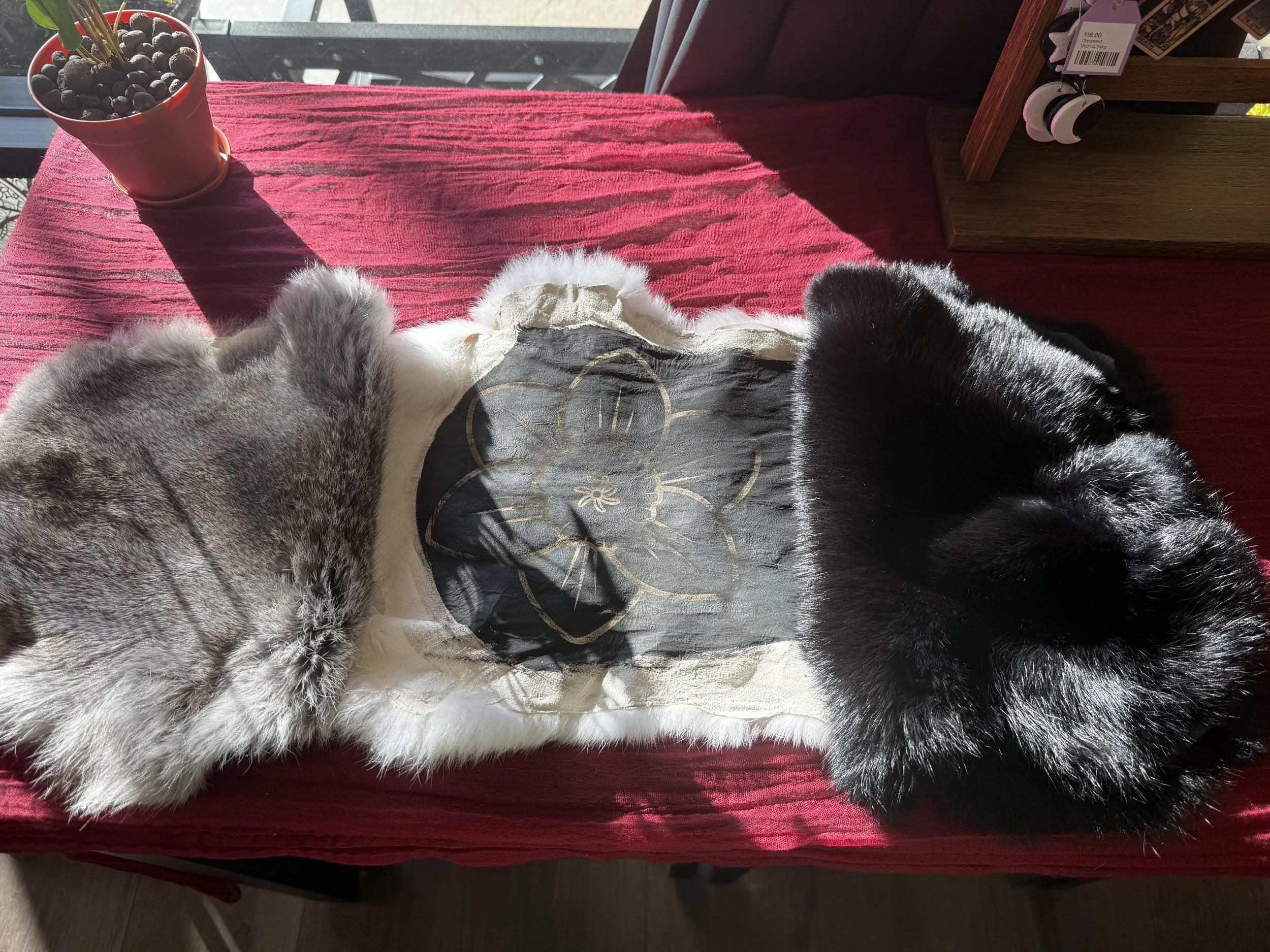 IMG_0800(1) - Copy.JPEG