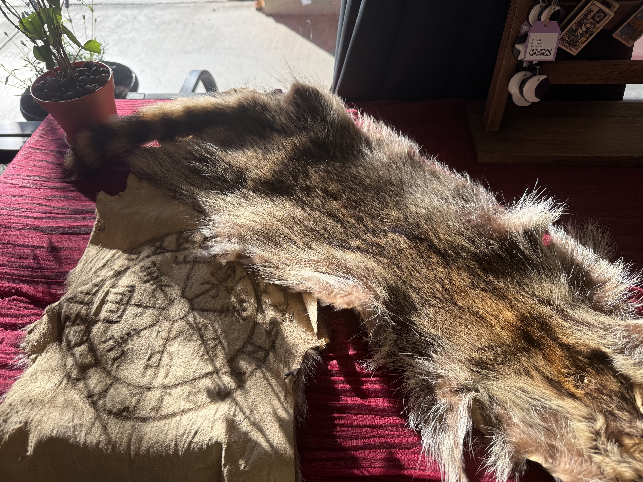 IMG_0796 - Copy.JPEG