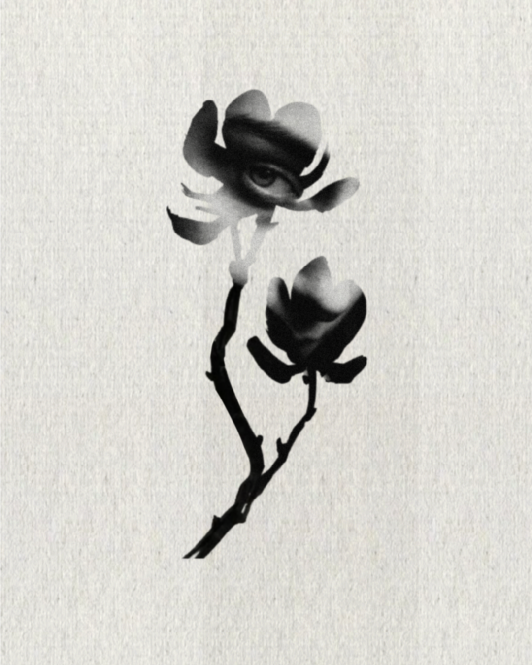 4CEC85EE-A63D-4499-A72E-BF6FB9C545B1.png