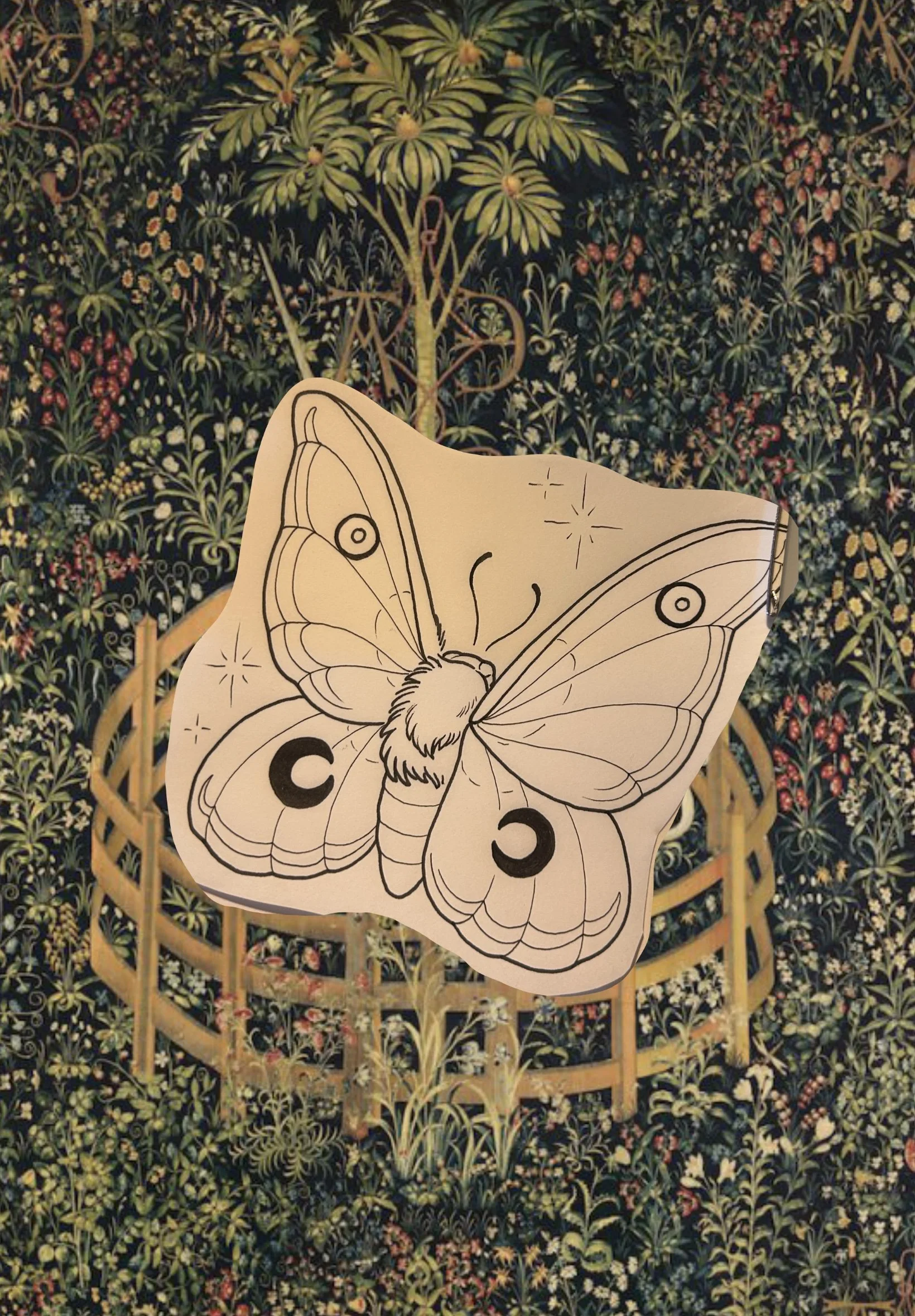 Moony Moth