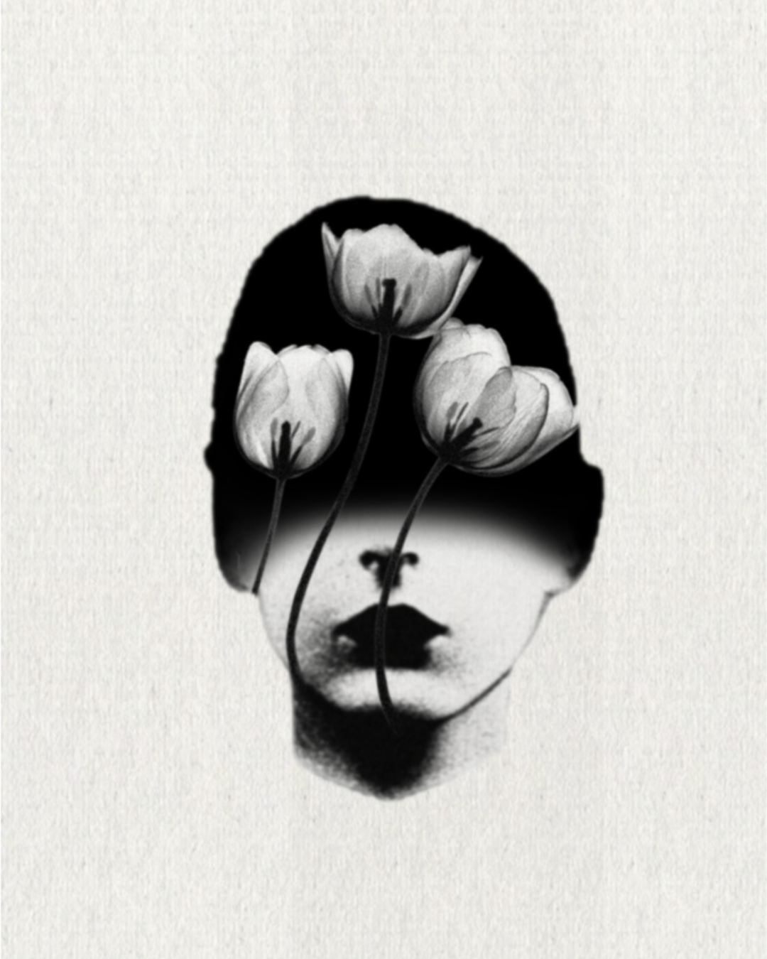 4560CFE1-3DFF-4CBE-8B04-680F7F217EB8.png