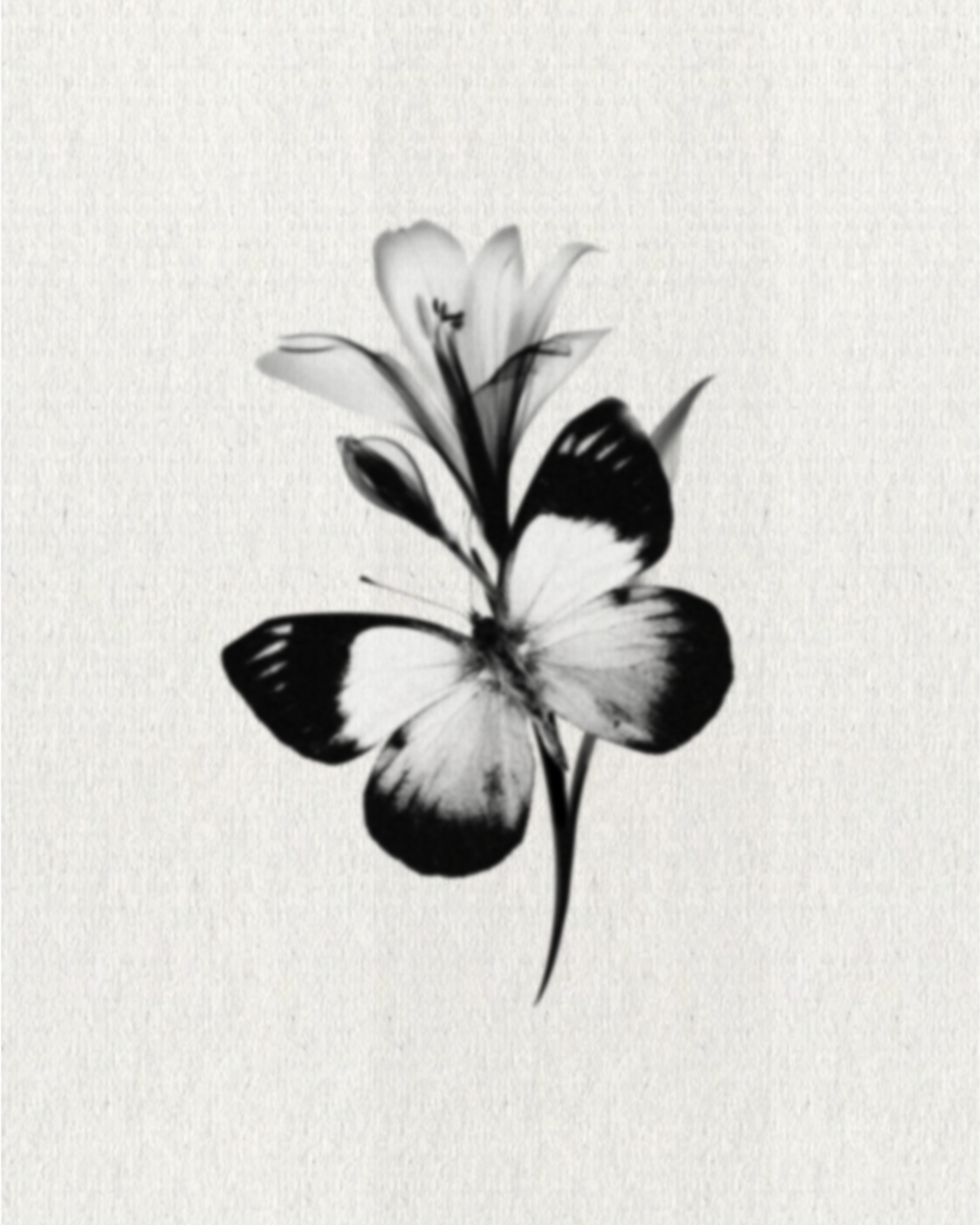 59BD2588-7574-4745-926A-258988DEDA5F.png