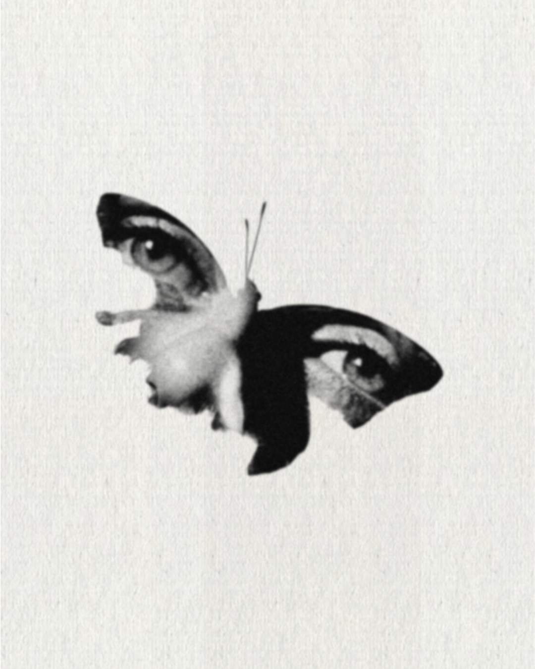 292DA269-6F42-4CBE-9AA8-ADC8862A0916.png