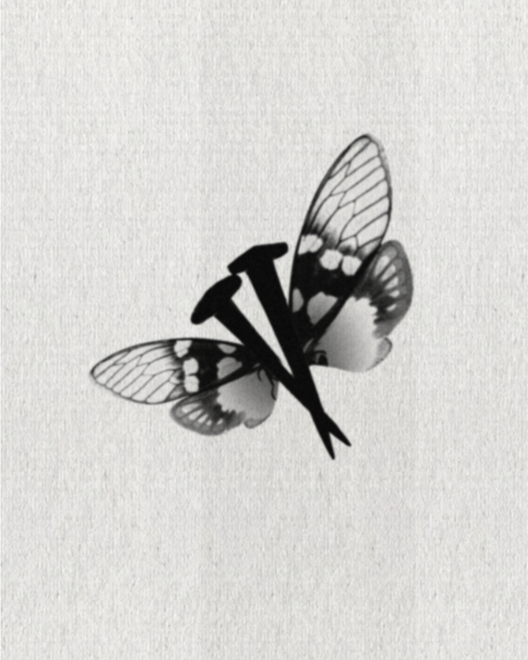 Railfly