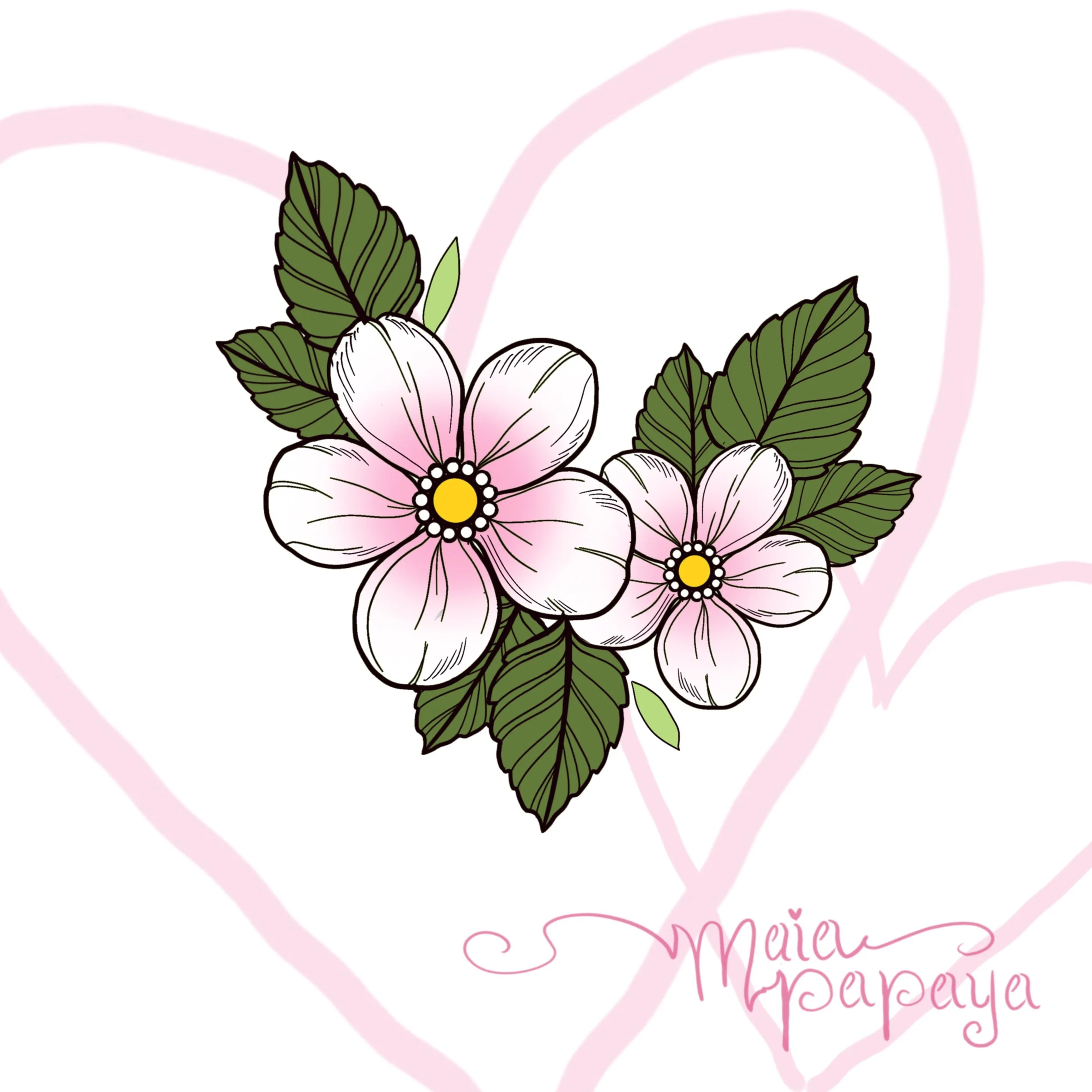 Pink and White Flowers