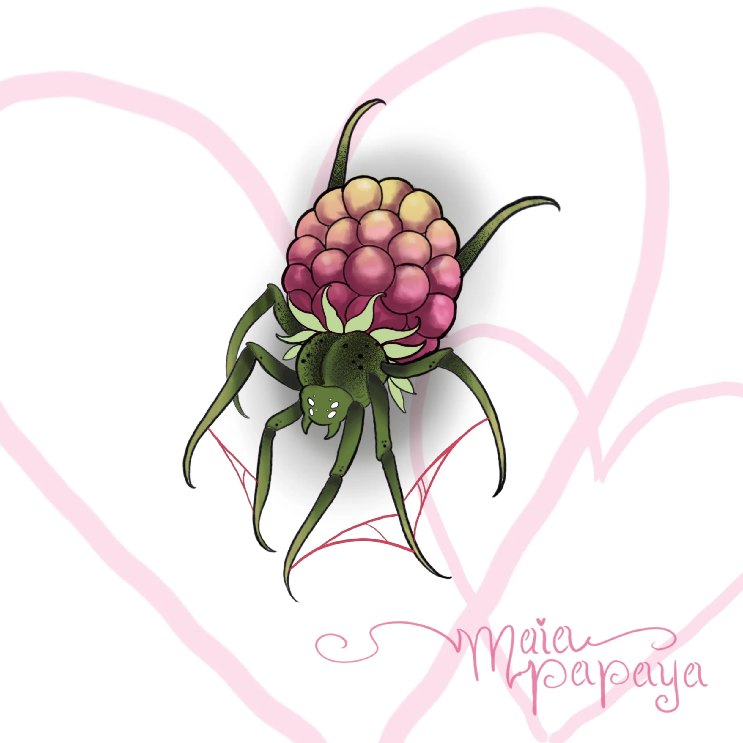 Raspberry Spider