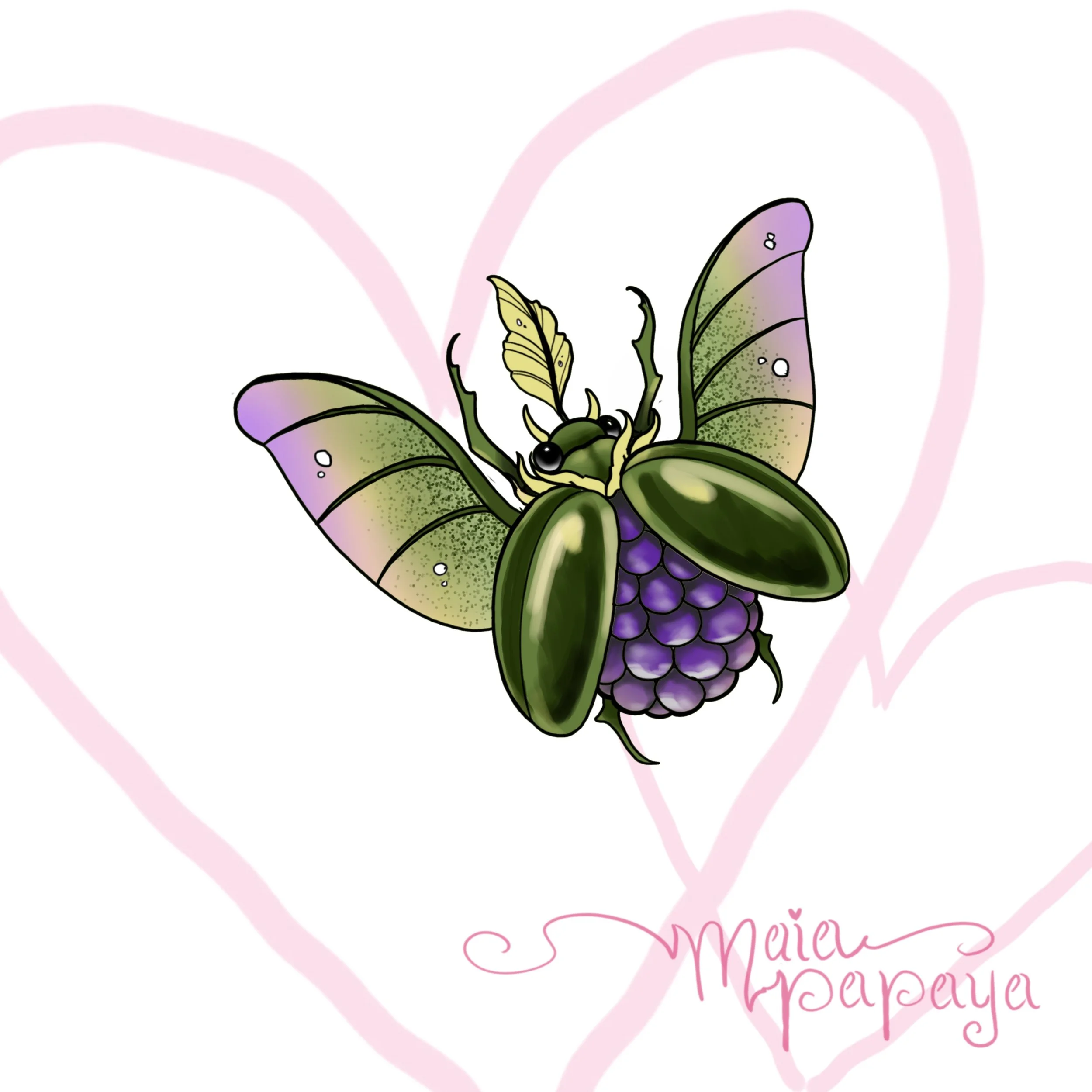 Blackberry Beetle