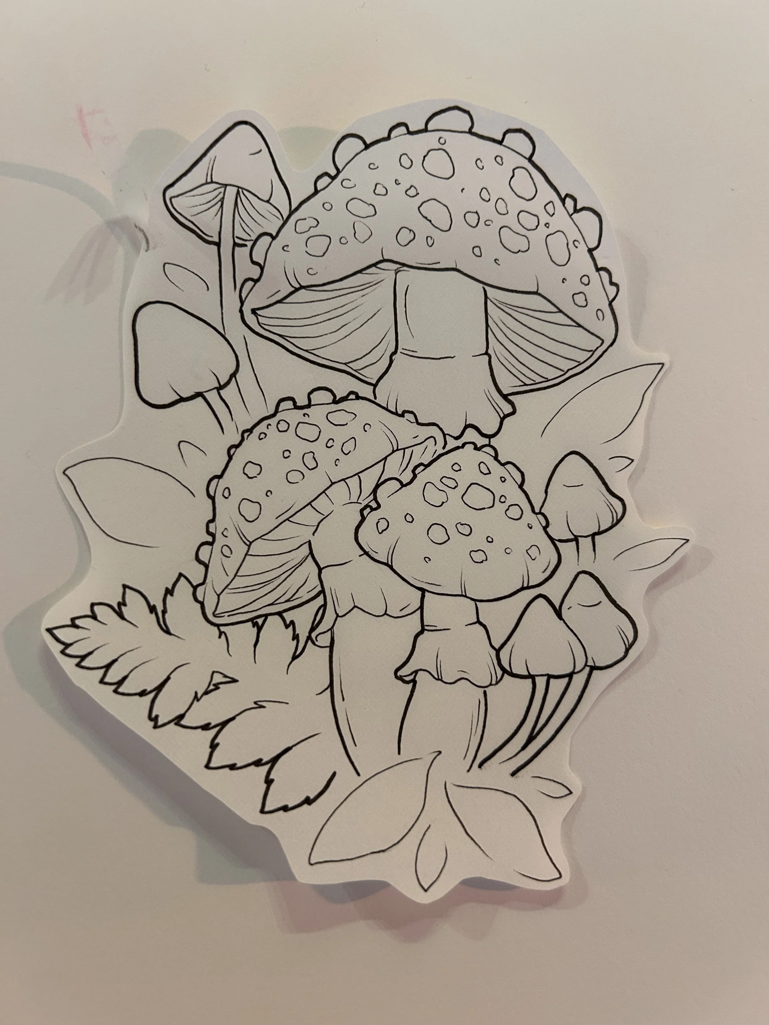 Amanita Muscaria