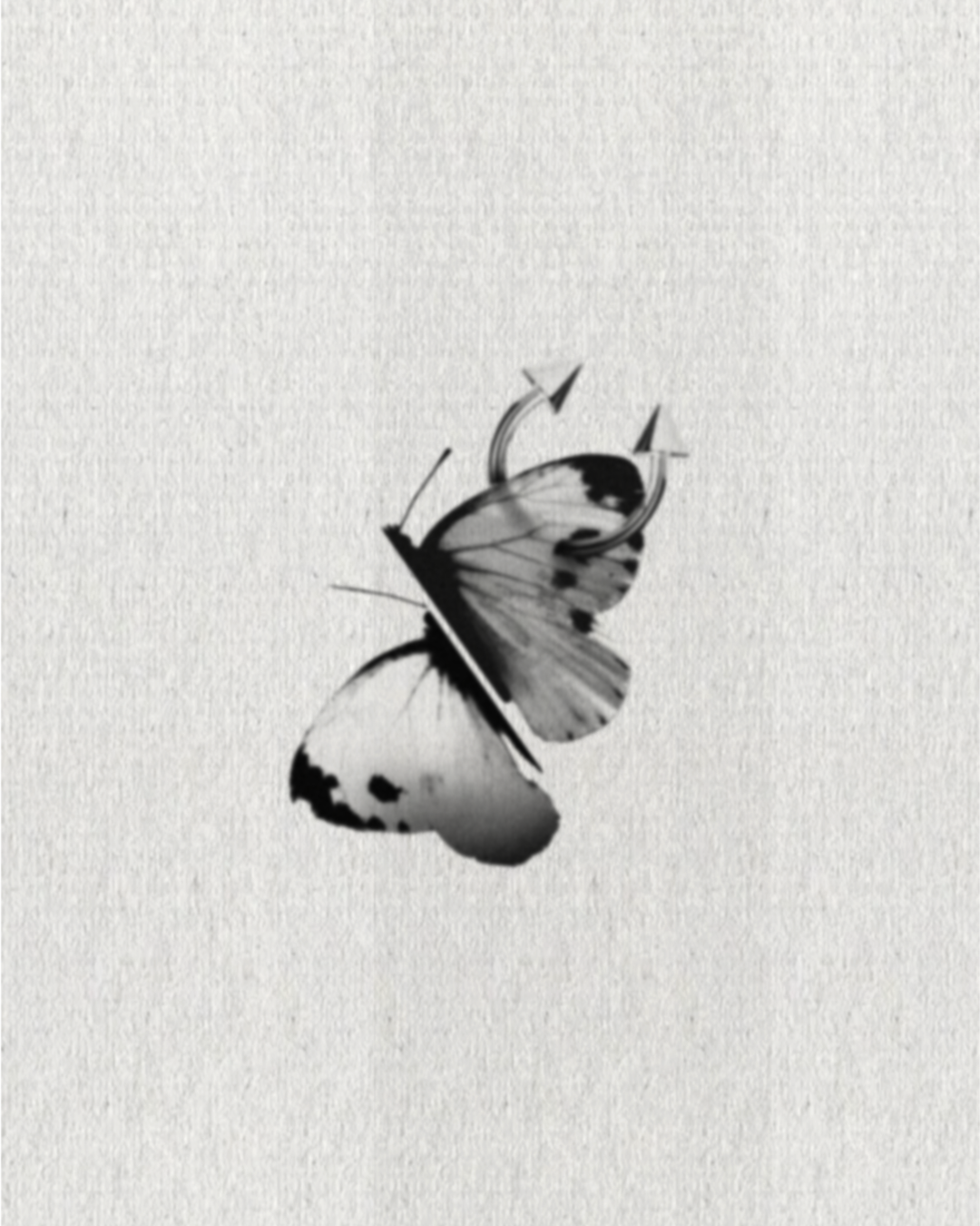 Imperfect Butterfly