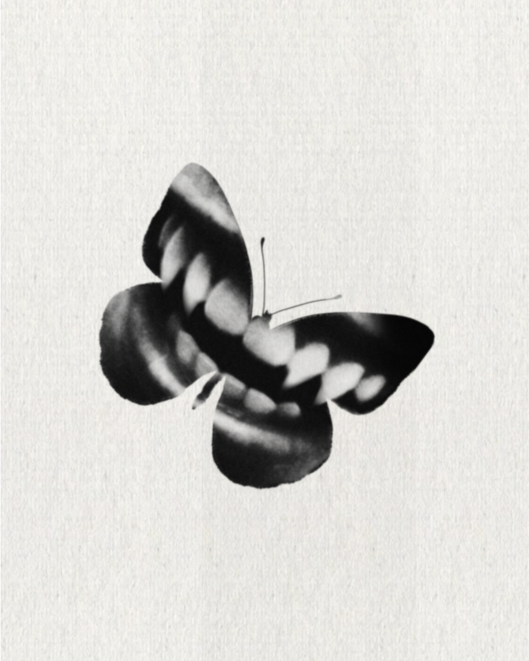 F398BD59-7F10-4D14-AC4F-7DDC2027A850.png