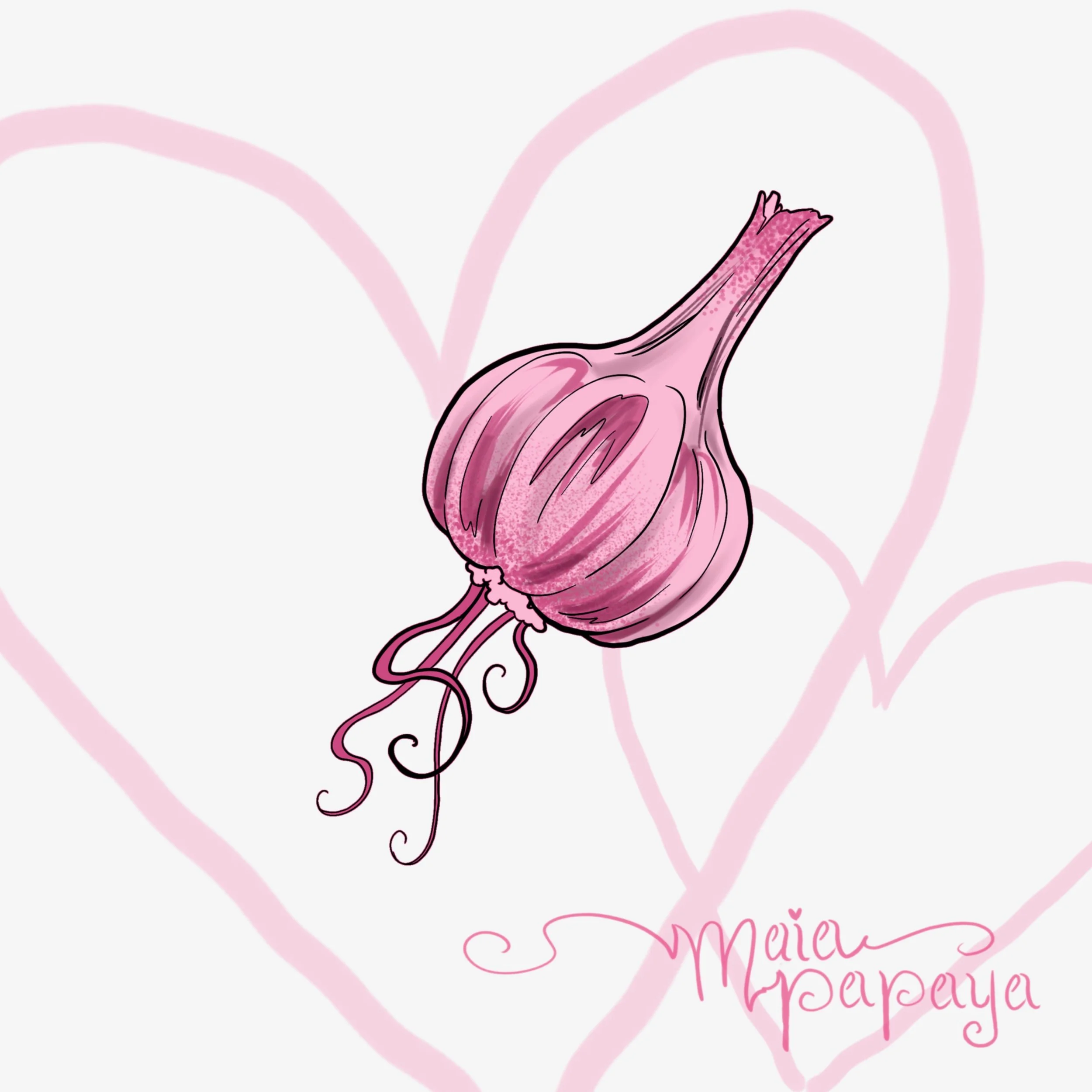 garlic - pink.jpg