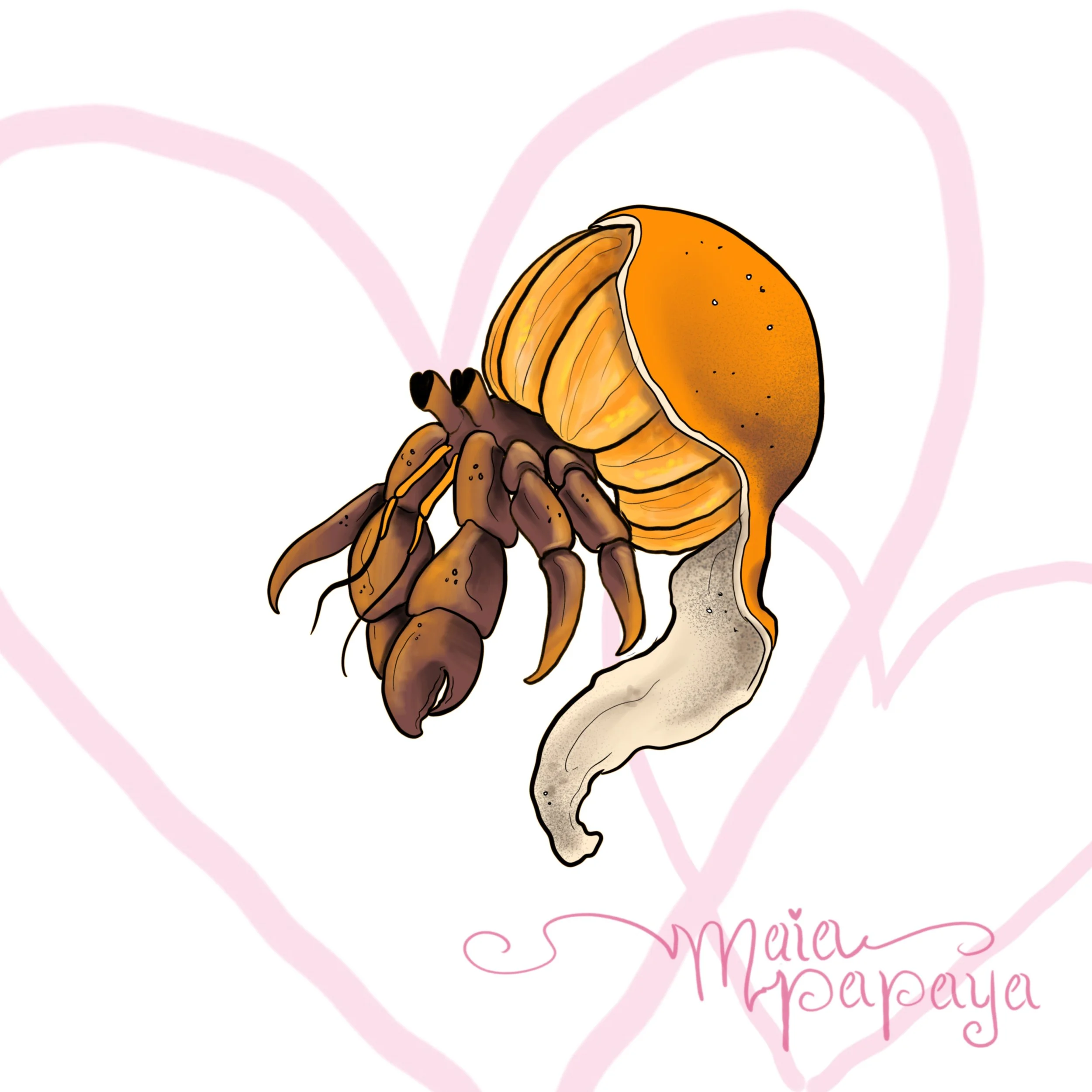 Orange Hermit Crab