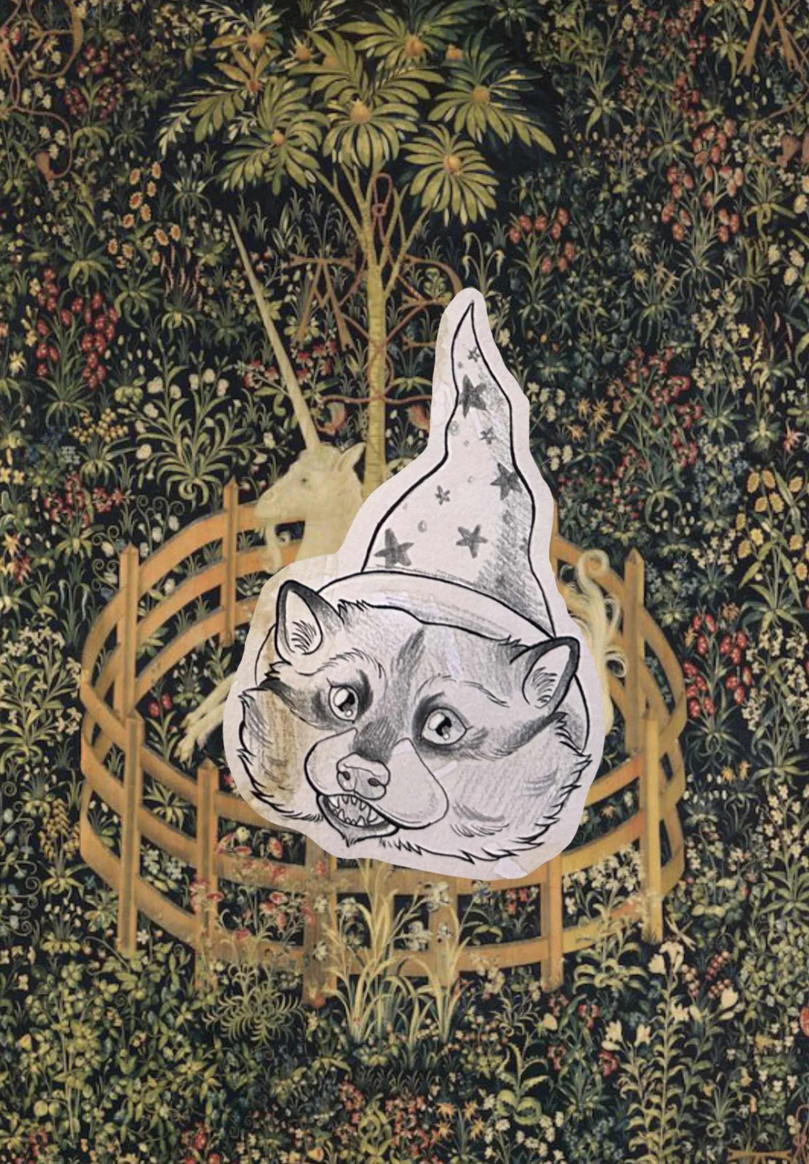 The Raccoon Wizard