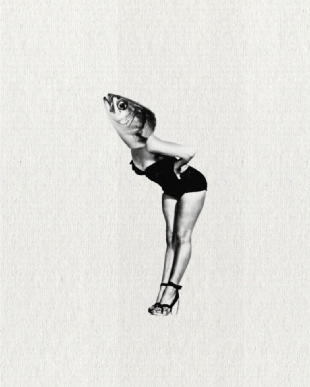 7F6A7672-499B-489A-80D3-2C936818B078.png