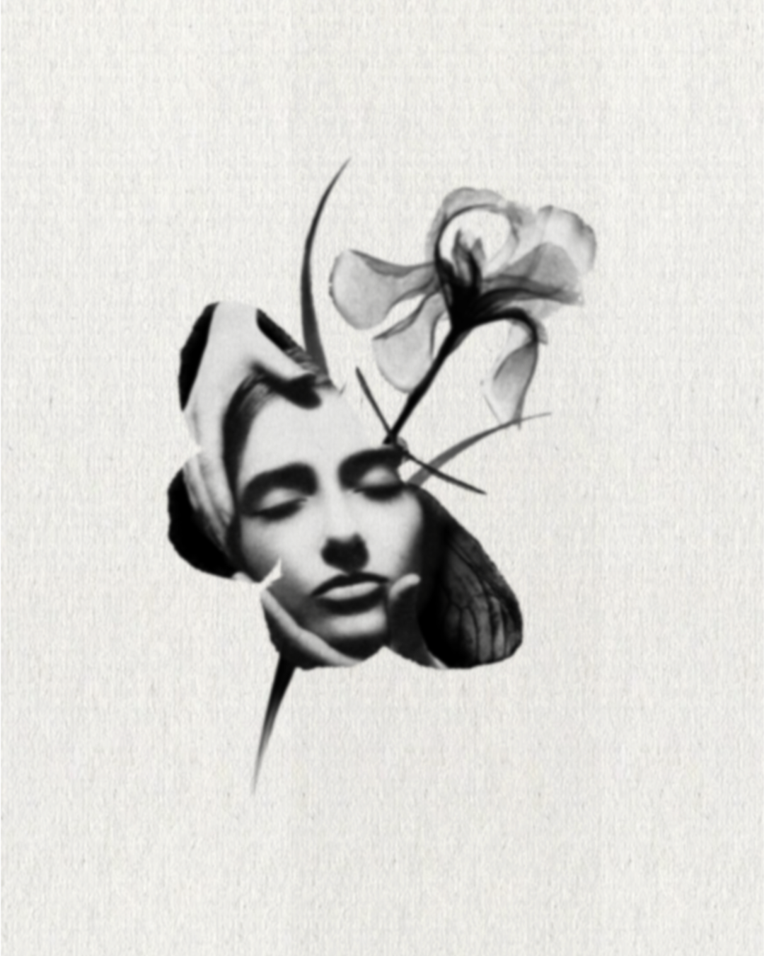 Butterfly Daydream