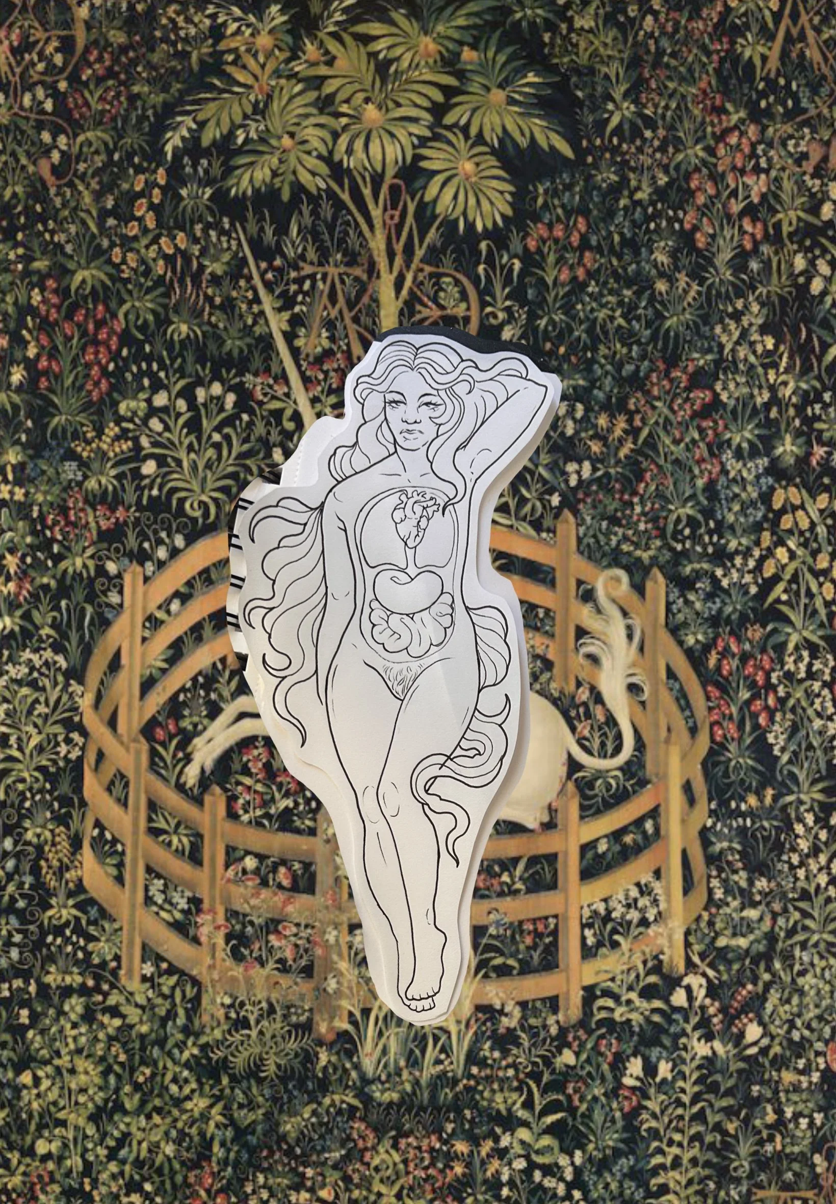 The Anatomical Venus