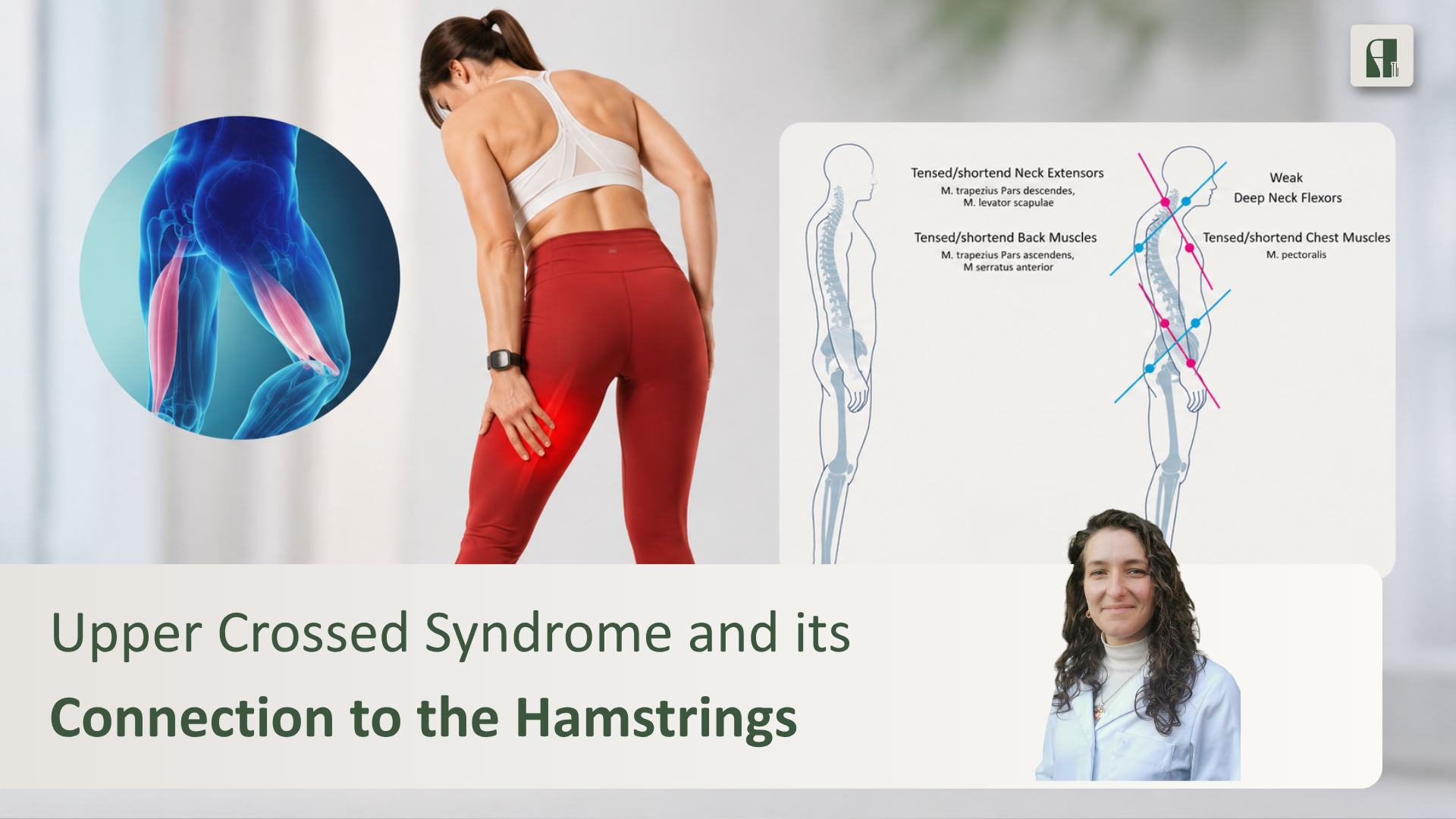 Upper Crossed Syndrome: How Your Neck &amp; Shoulder Posture Talks To Your Hamstrings