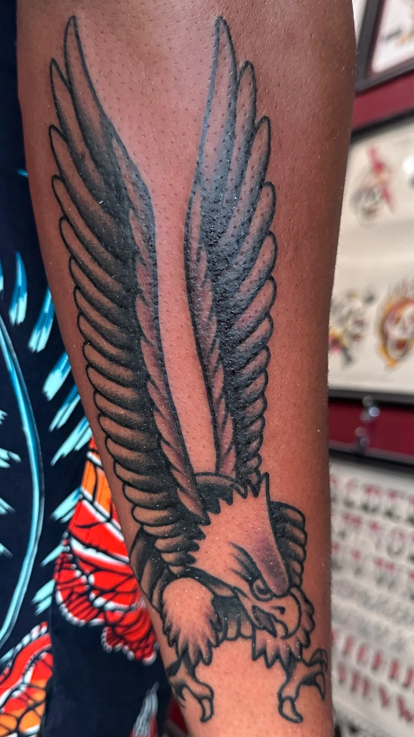 Tattoo of a fierce eagle with detailed feathers and a fierce expression on the person's arm.