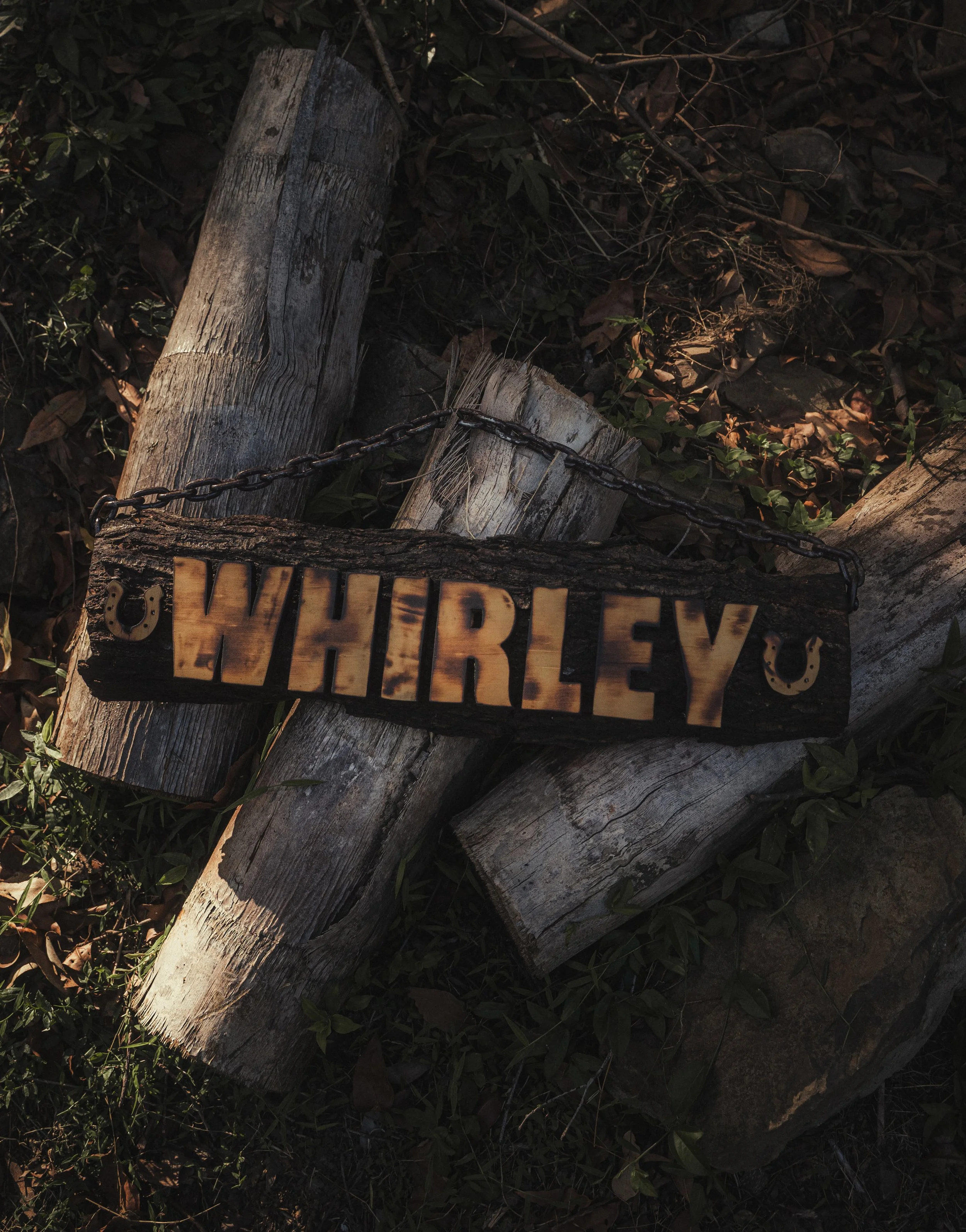 Wooden sign with the name 'Whirley' hanging on a chain, mounted on a rustic wooden post, surrounded by rocks and foliage.