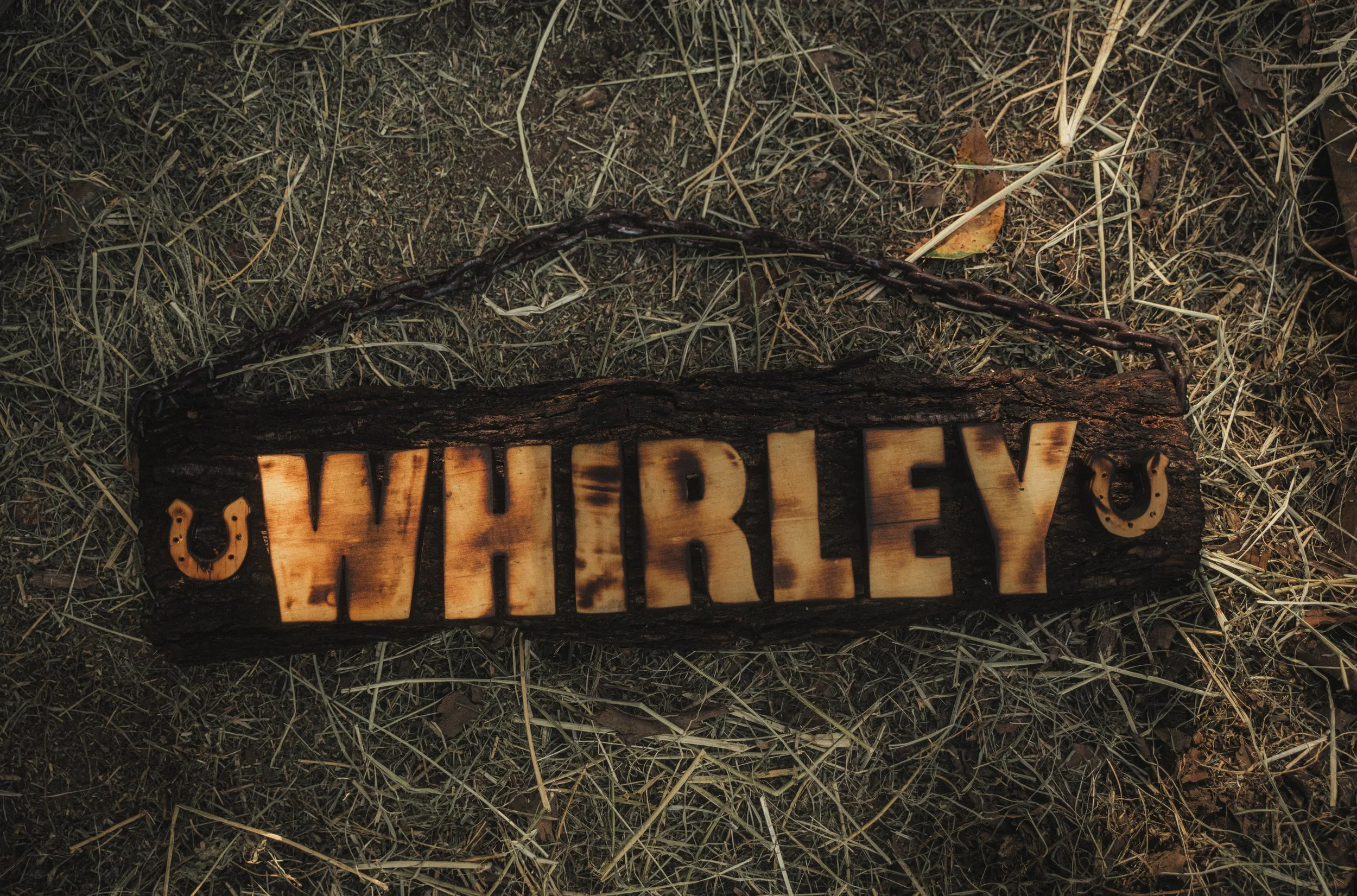 Wooden sign with the word 'WHIRLEY' and two horseshoes, on grassy ground.