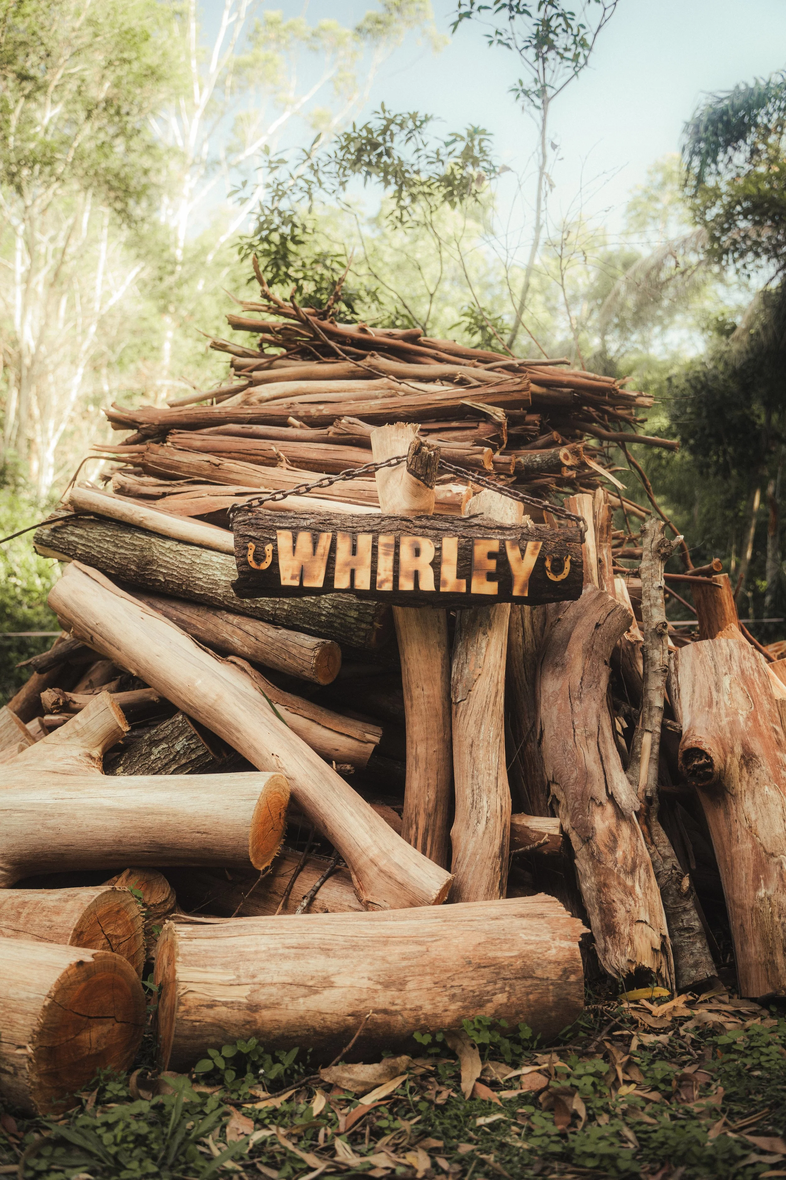 Stack of chopped firewood with a wooden sign reading 'WHIRLEY' hanging on it, outdoors in a forested area with green trees and plants.